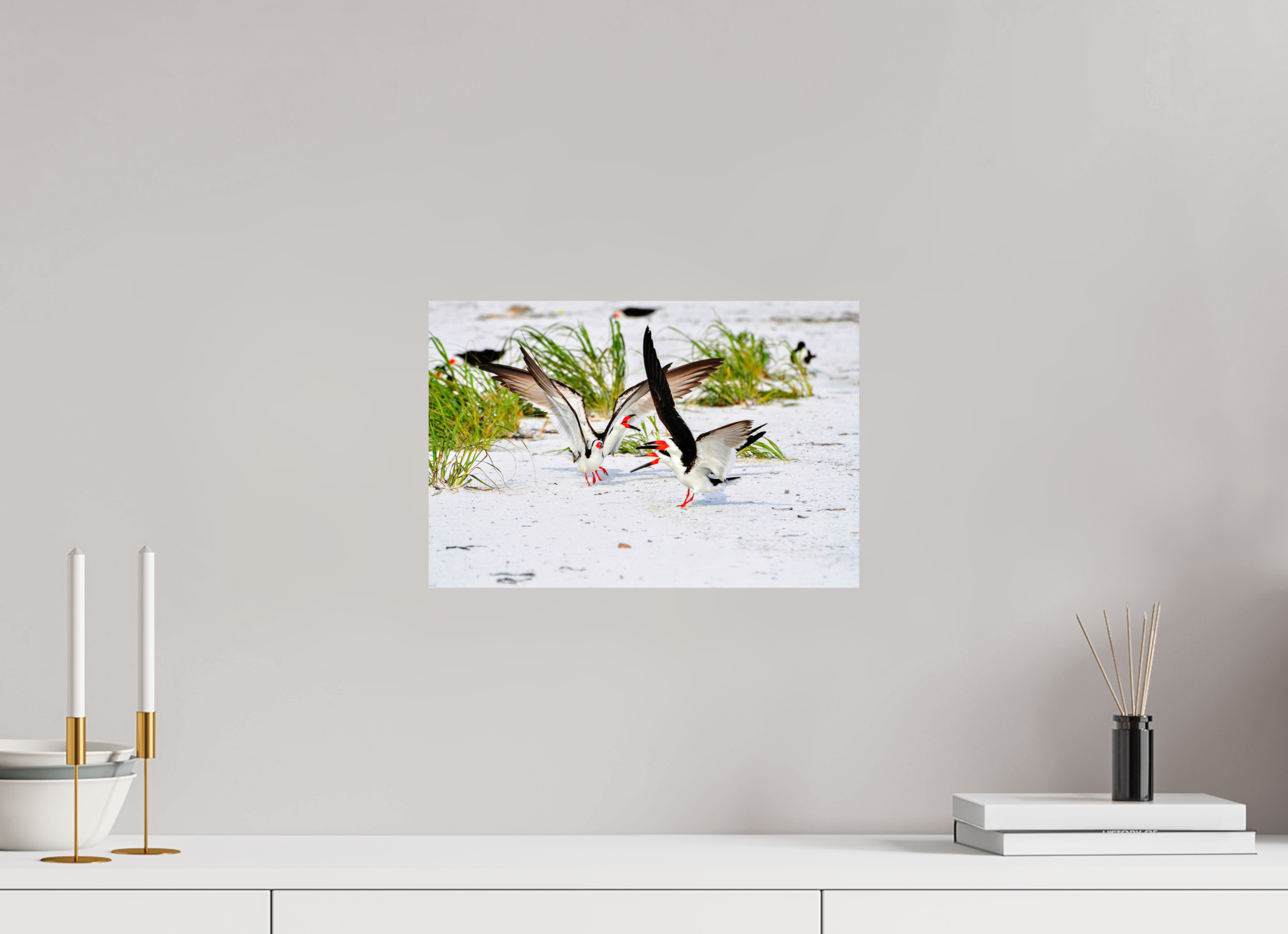 15 x 10″, Photo Print On Fuji Crystal DP II The Skimmer Dance