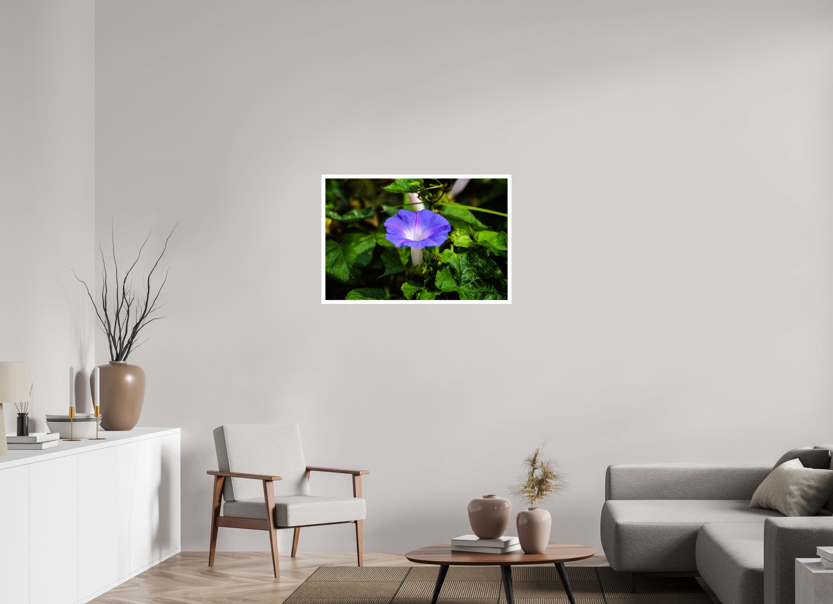 36 x 24″, Hahnemühle FineArt Pearl Print, .79" white border Heavenly Blue Morning Glory