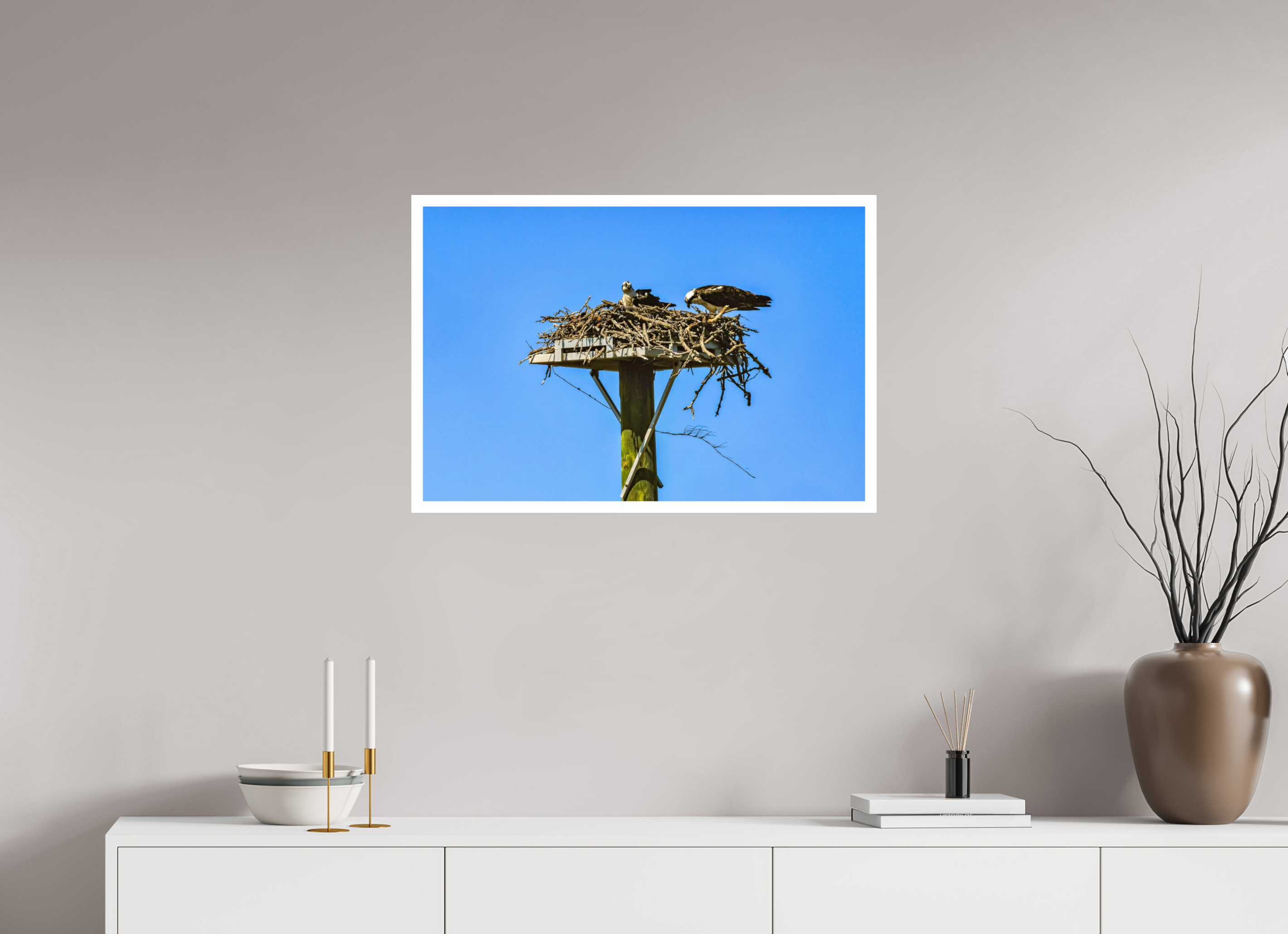 30 x 20″, Hahnemühle FineArt Pearl Print, .79" white border Osprey Outlook