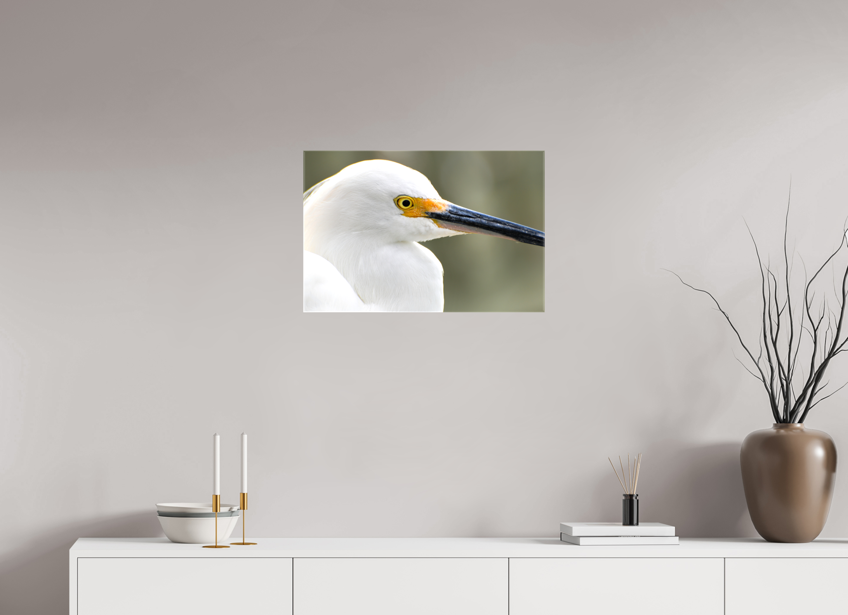 24 x 16″, Glossy Canvas on Stretcher Frame, 1,57" Wrapped The White Plume: Snowy Egret Portrait