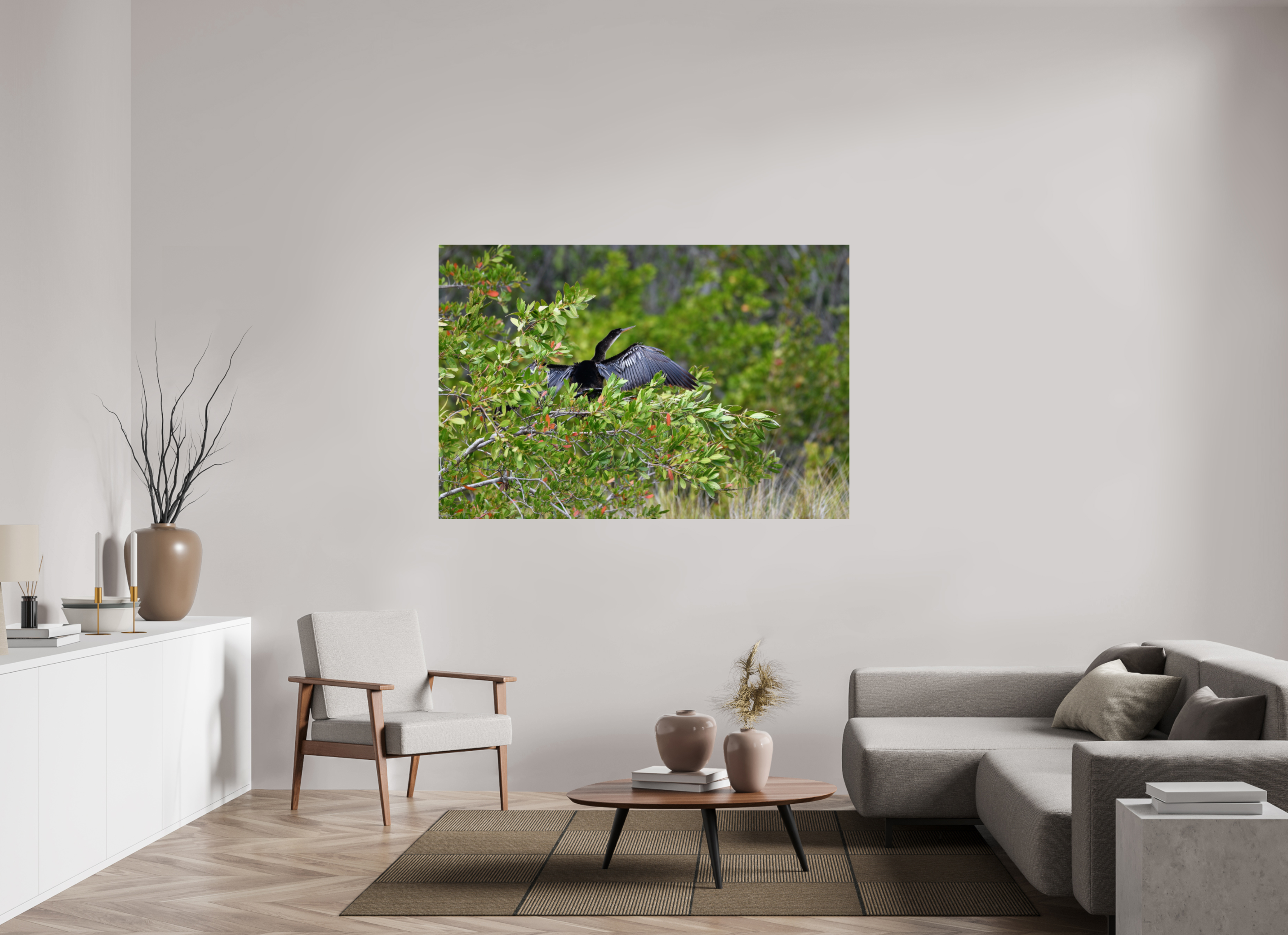 66 x 44″, Metallic Photo Print Under Acrylic Glass Florida Anhinga Sunning