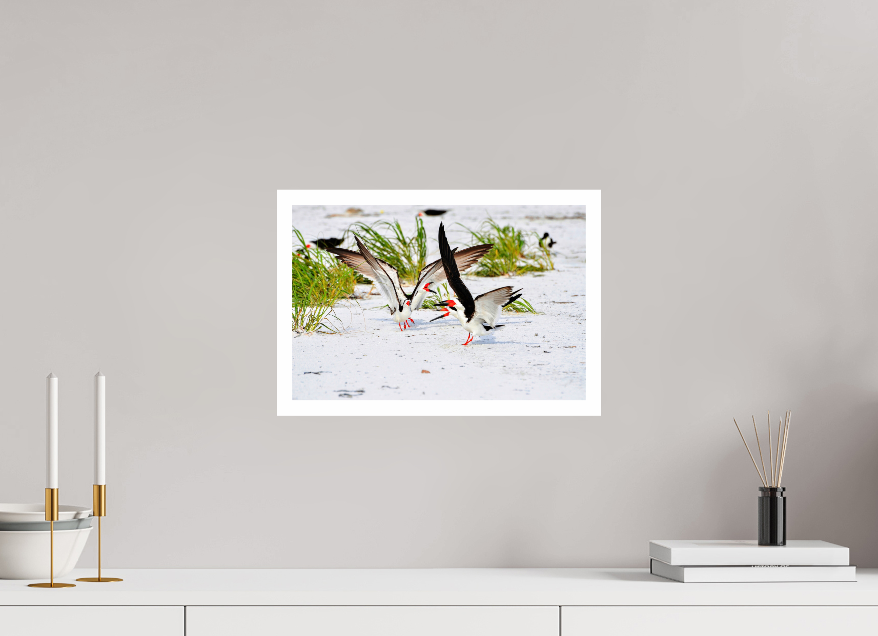 15 x 10″, Hahnemühle FineArt Pearl Print, .79" white border The Skimmer Dance