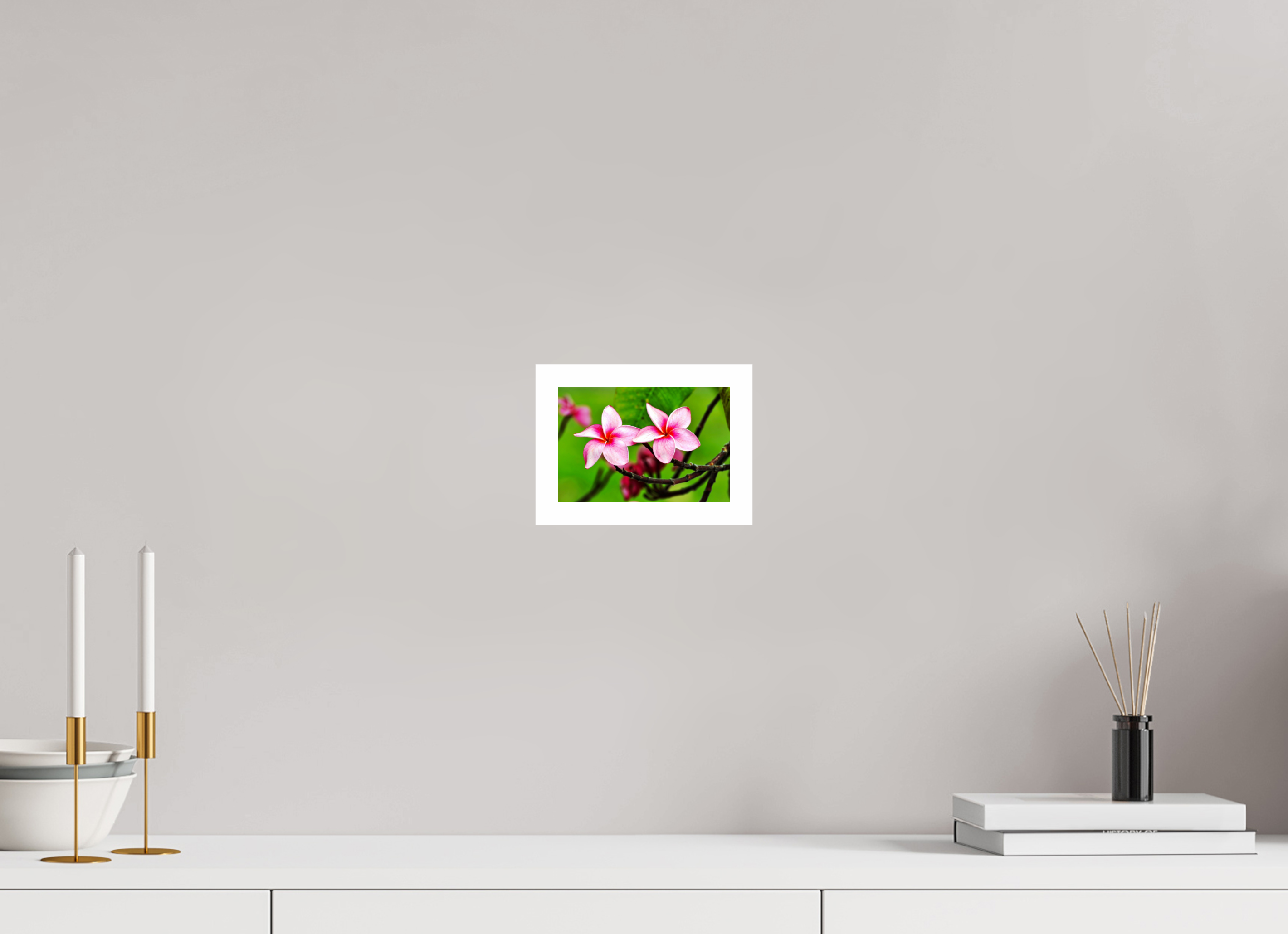 6 x 4″, Hahnemühle FineArt Pearl Print, .79" white border Pink Plumeria Rubra (Frangipani)