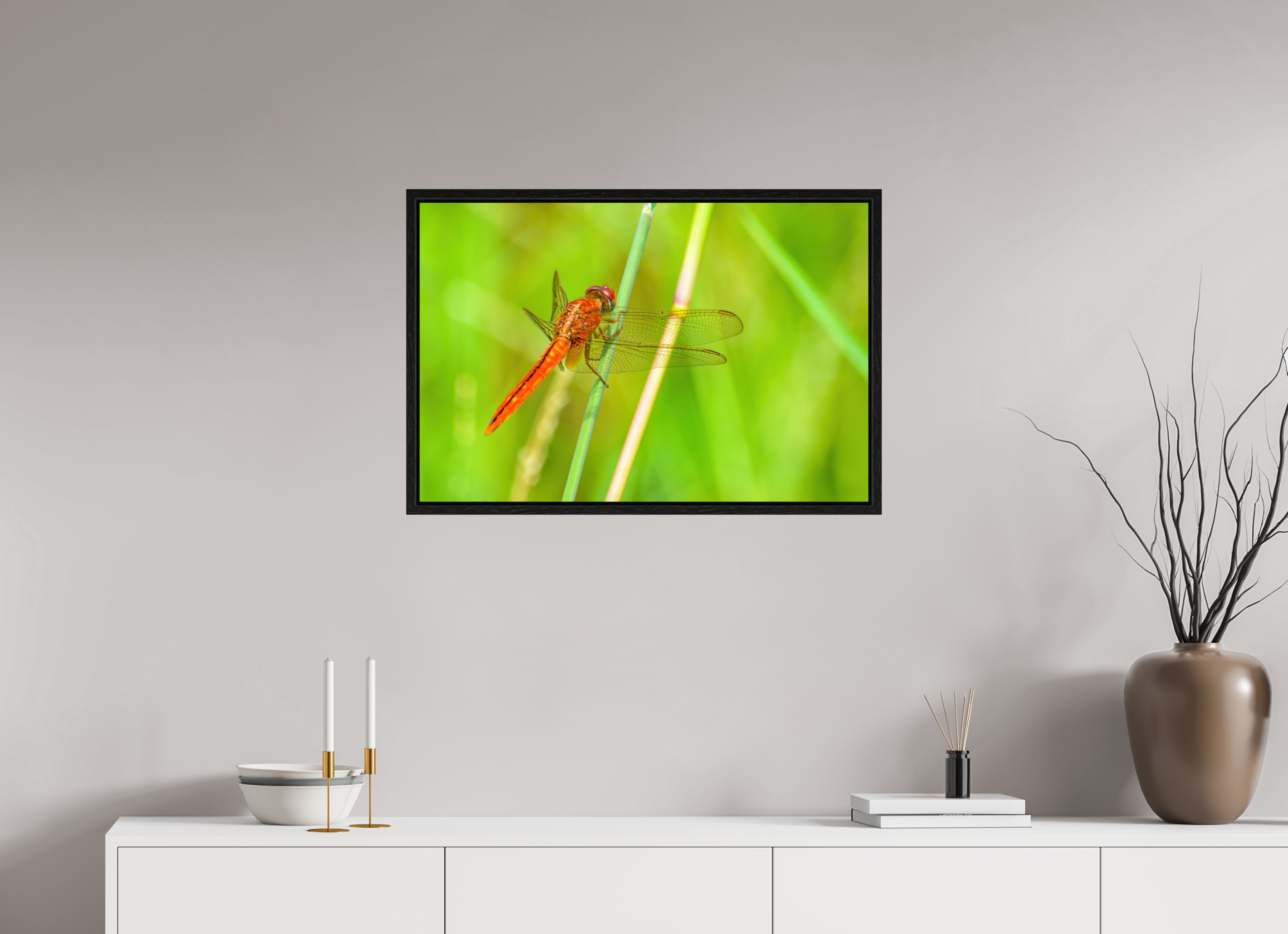 30 x 20″, Floater Frame, Basel 0.6", Black Oak, Glossy Acrylic Glass Resting Scarlet Skimmer