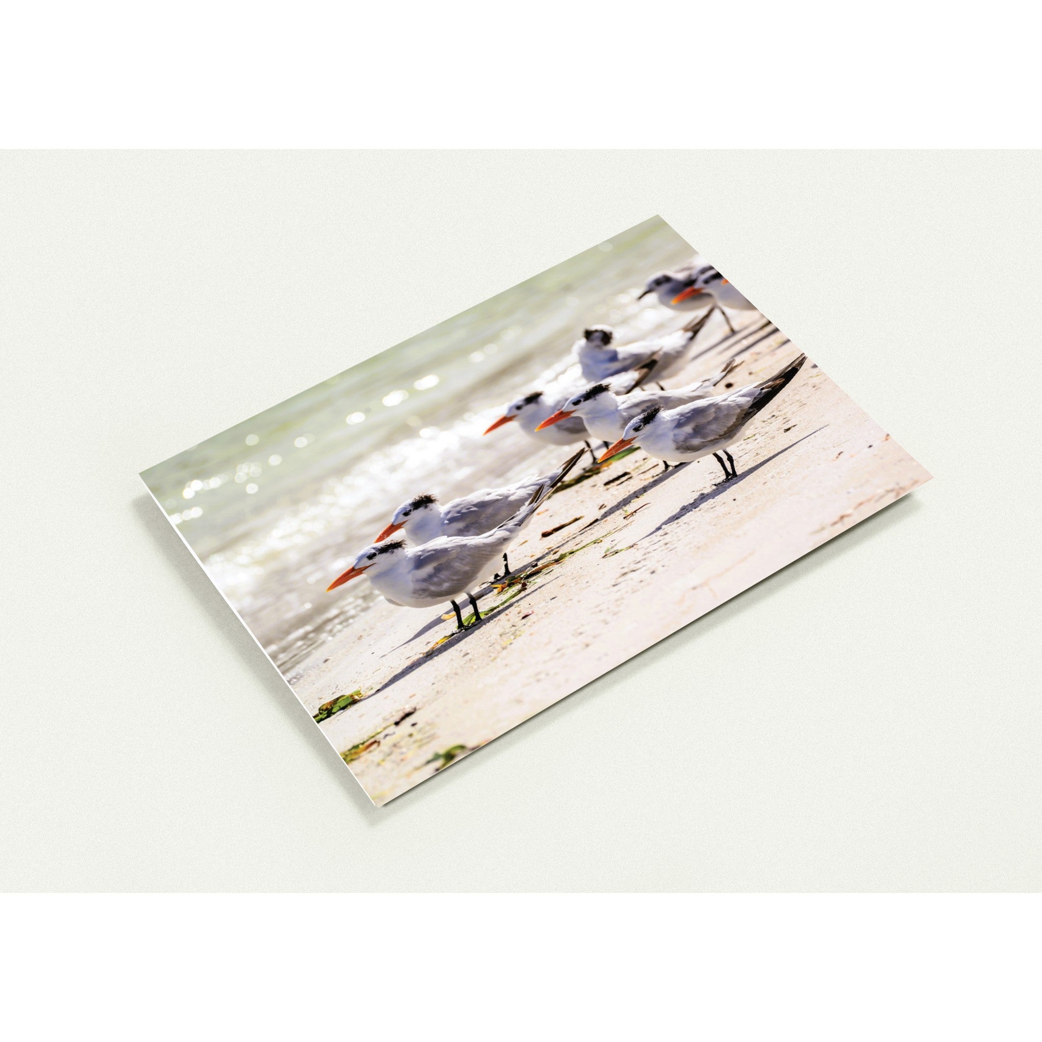 283dfbfc-0c6b-4d09-ae13-937e2ca1969c