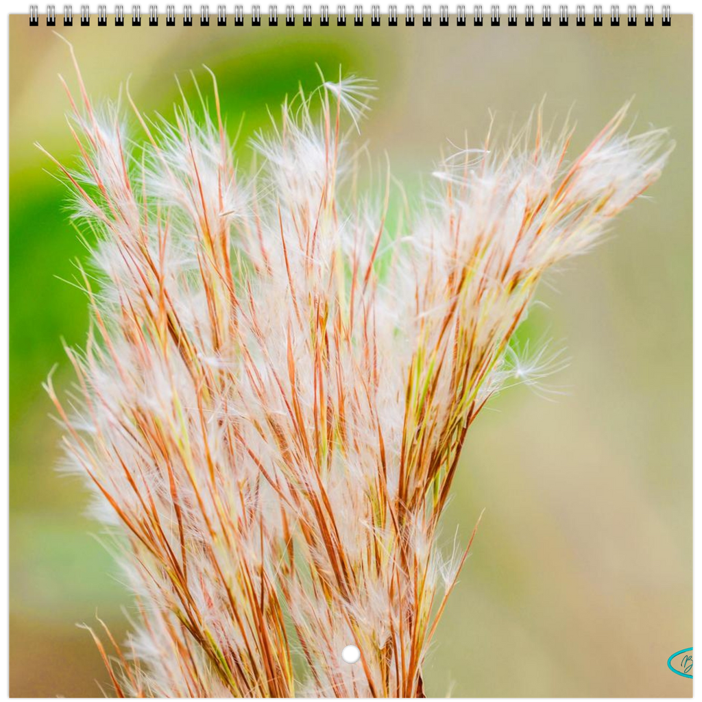 28eaf58b-4c1b-48a2-84b6-084fad30fd84