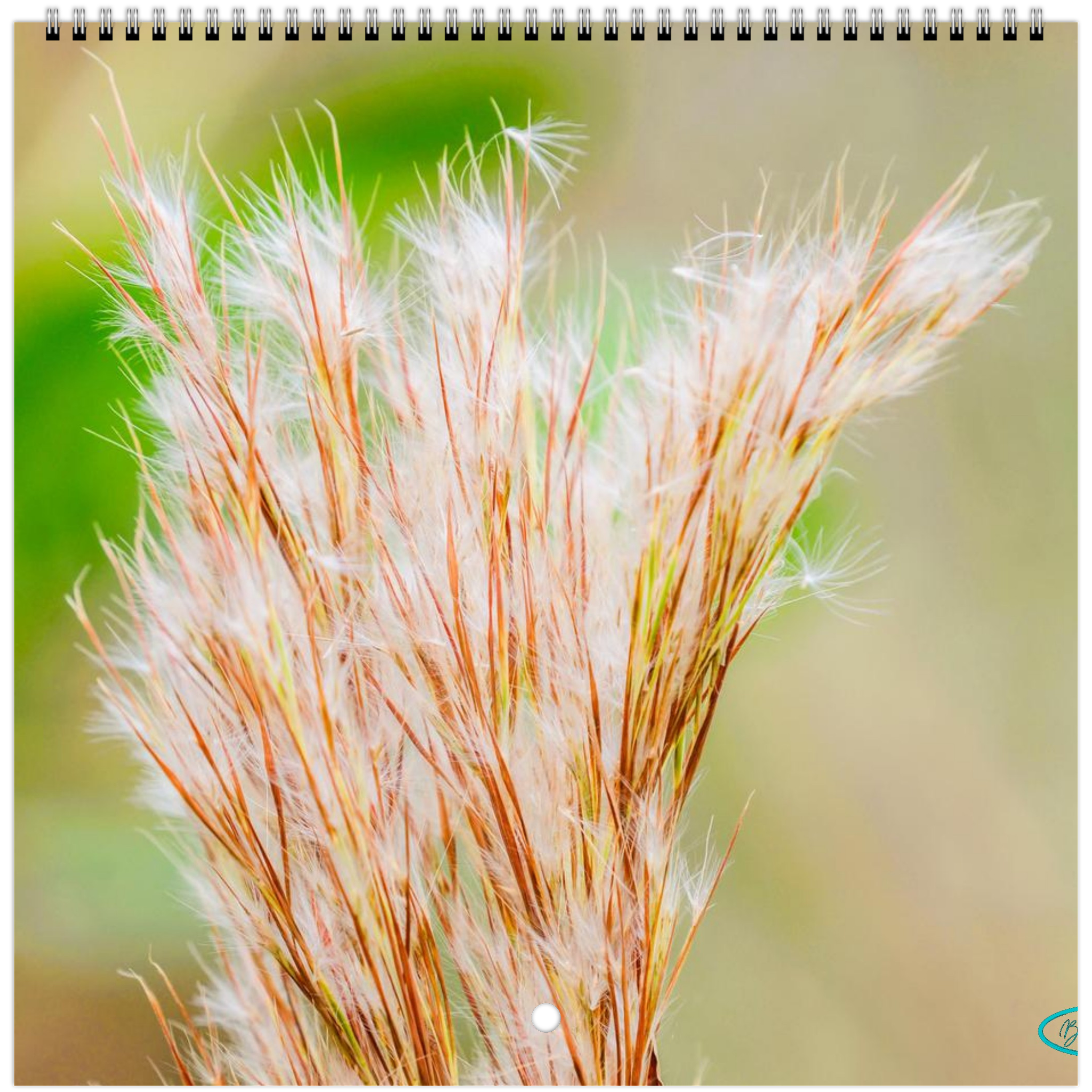 28eaf58b-4c1b-48a2-84b6-084fad30fd84