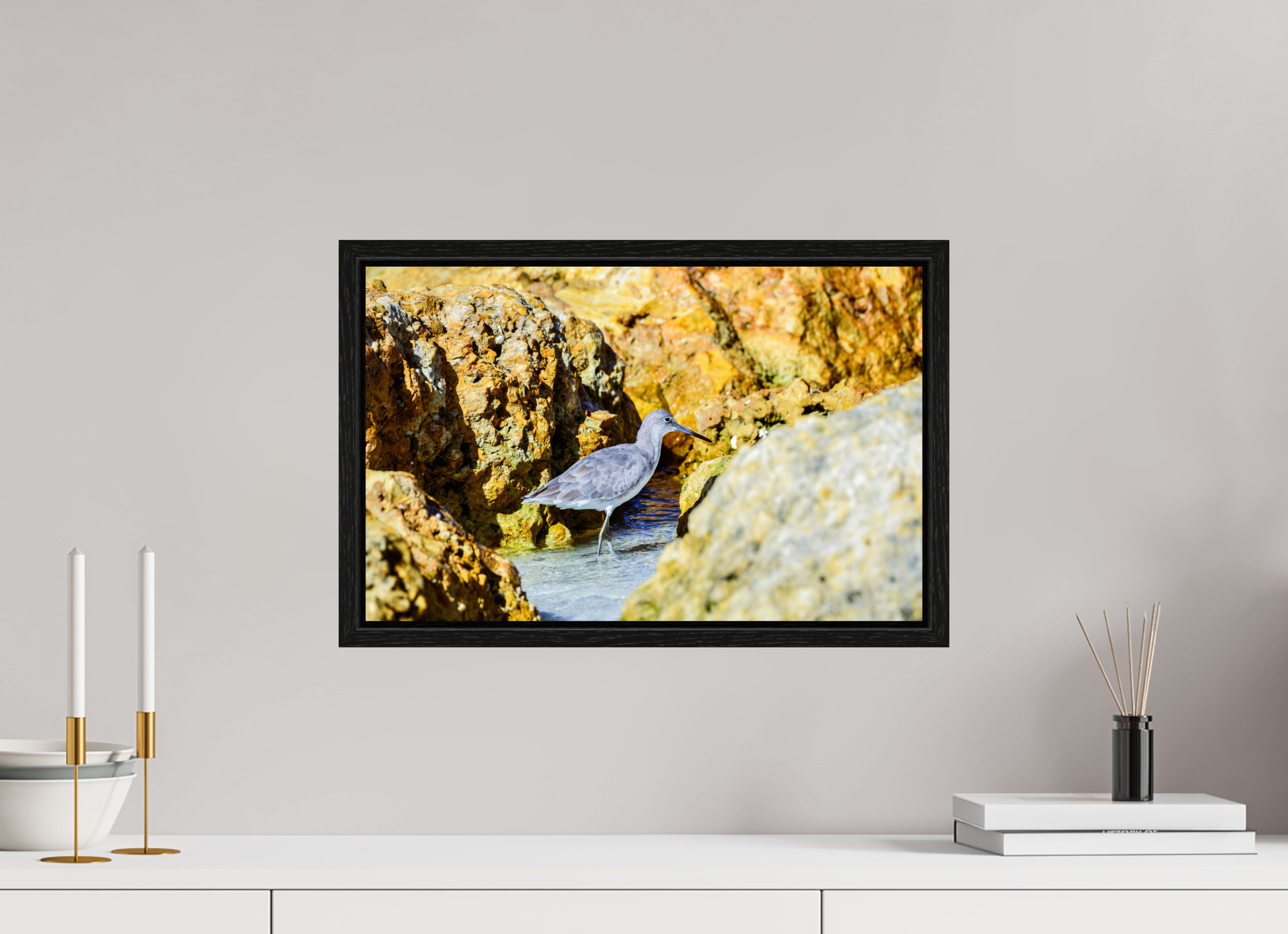 18.9 x 12″, Floater Frame The Hiding Willet