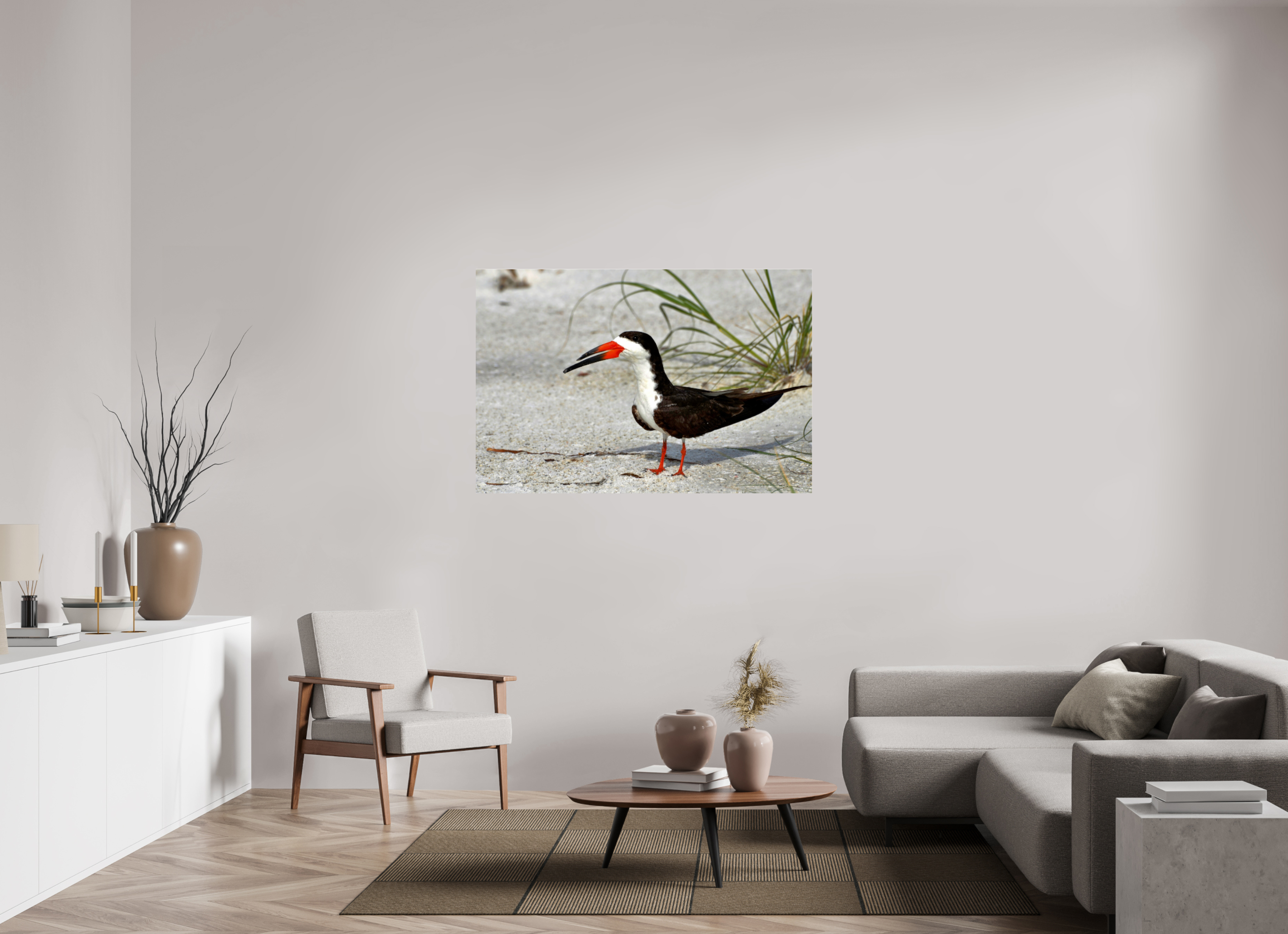 54 x 36″, Metallic Photo Print Under Acrylic Glass Sand & Black Skimmer