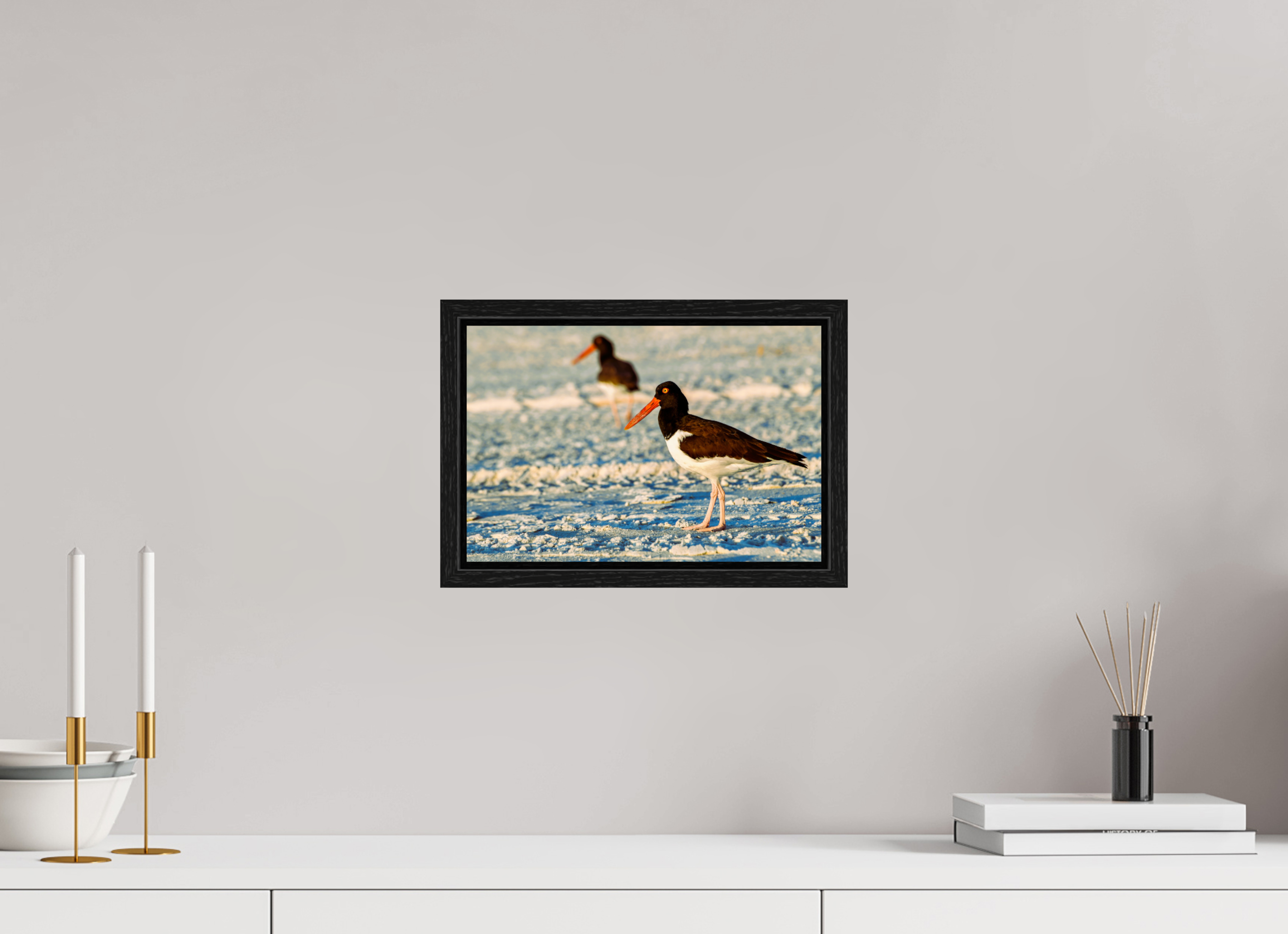 12 x 8″, Floater Frame Oystercatcher Stroll