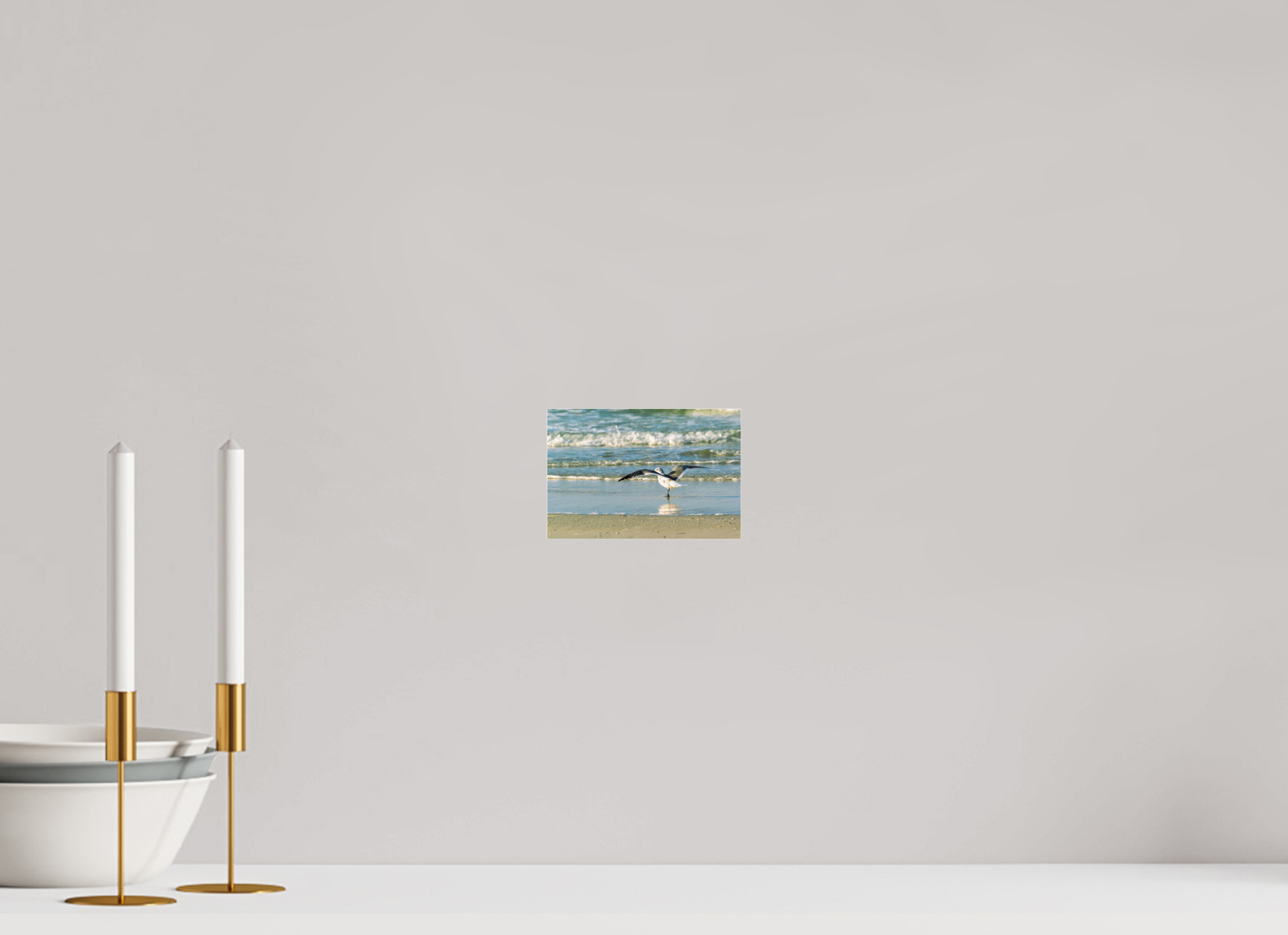 6 x 4″, Metallic Photo Print Under Acrylic Glass Laughing Gull in Motion