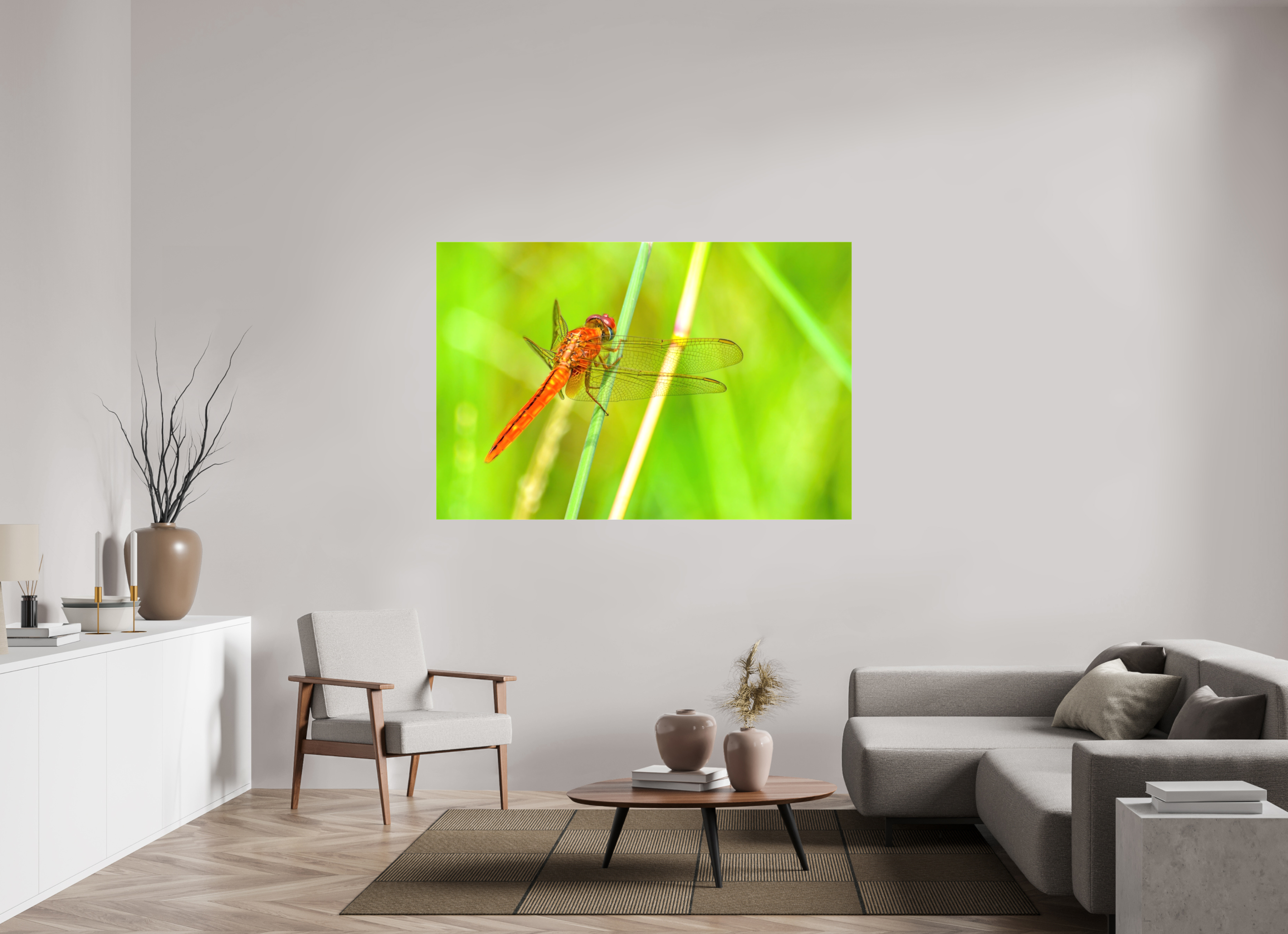 66 x 44″, Glossy Canvas on Stretcher Frame, 1,57" Wrapped Resting Scarlet Skimmer