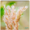 2b17e234-658b-4b31-baa5-f46eaee8eb38