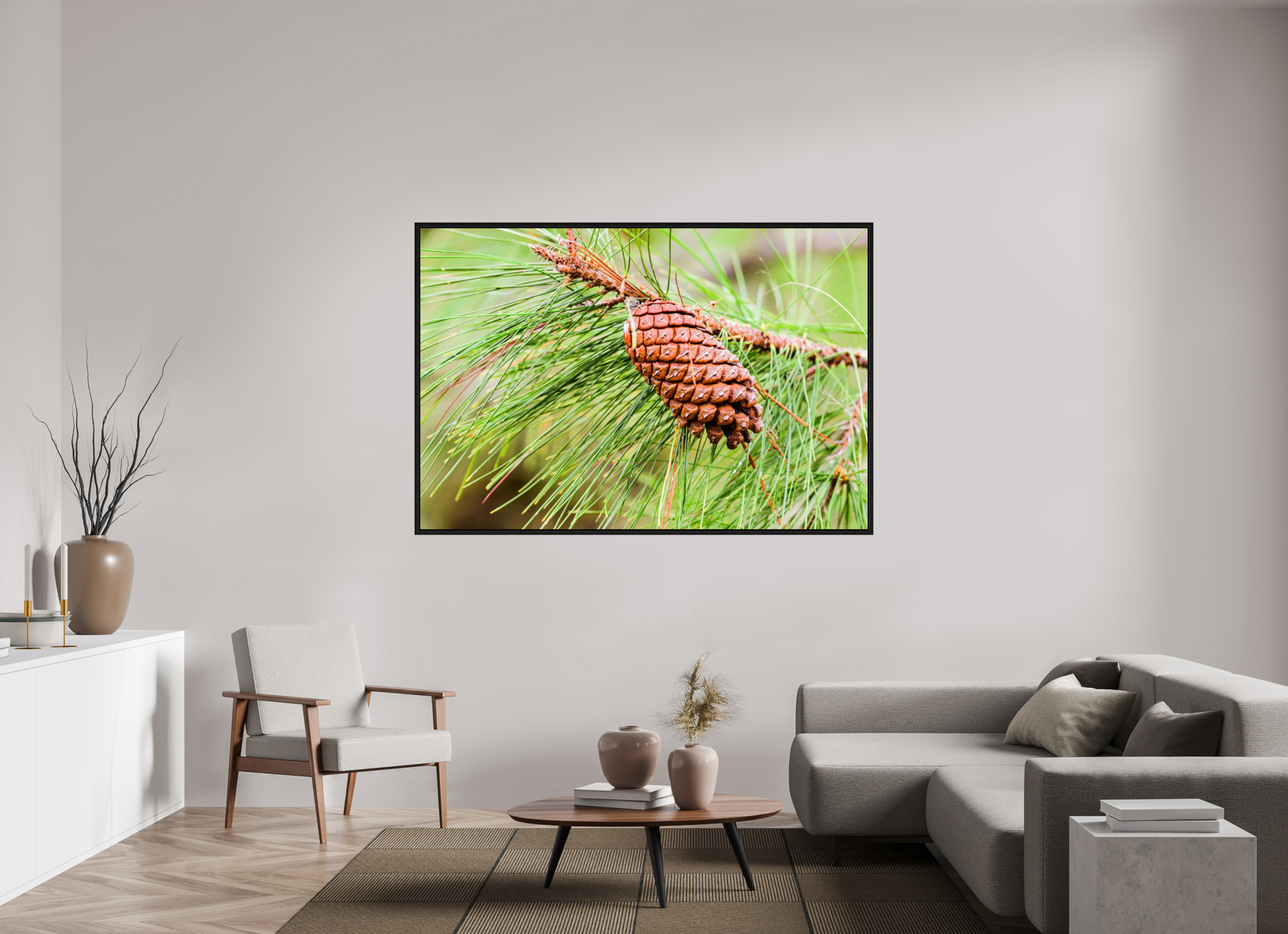 69.8 x 47″, Floater Frame The Longleaf Pine Cone