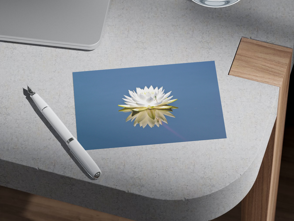 2b791b22-cf10-4a90-ae9d-6875c8da8fec