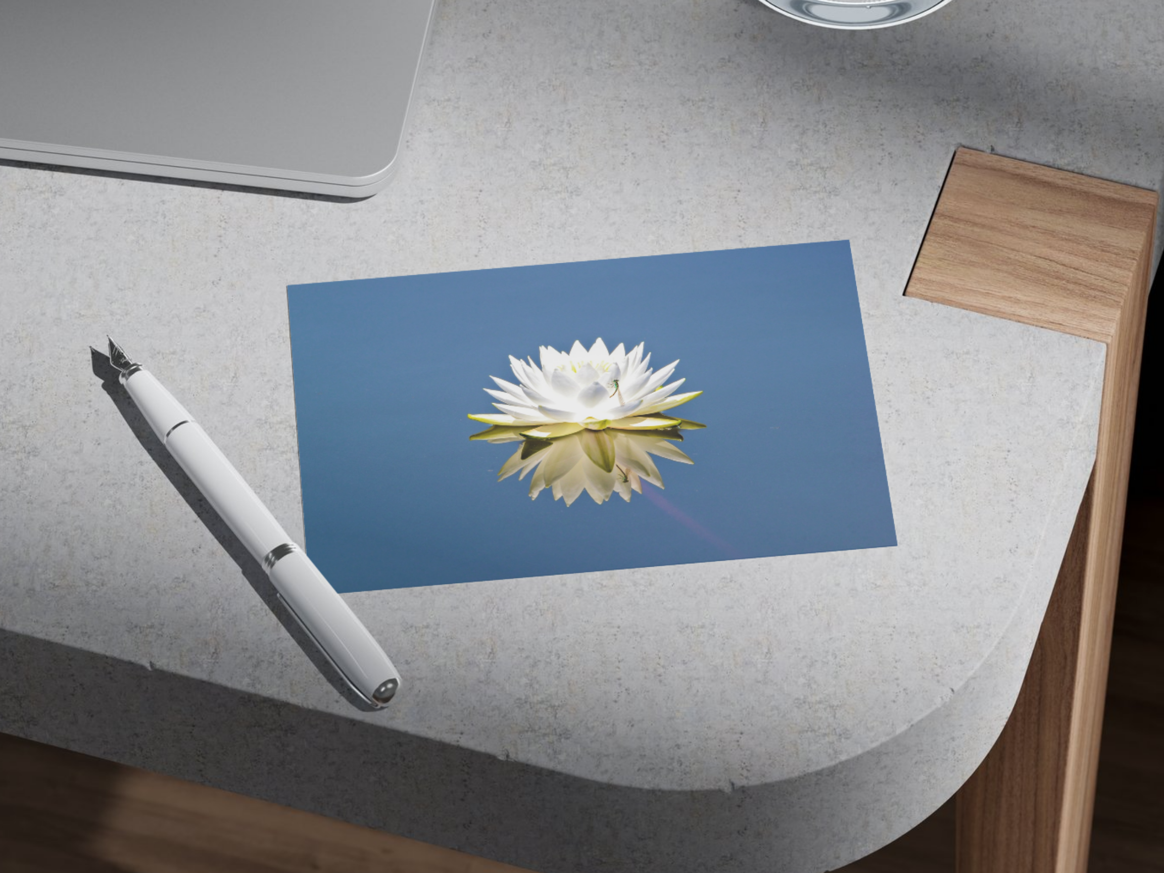 2b791b22-cf10-4a90-ae9d-6875c8da8fec