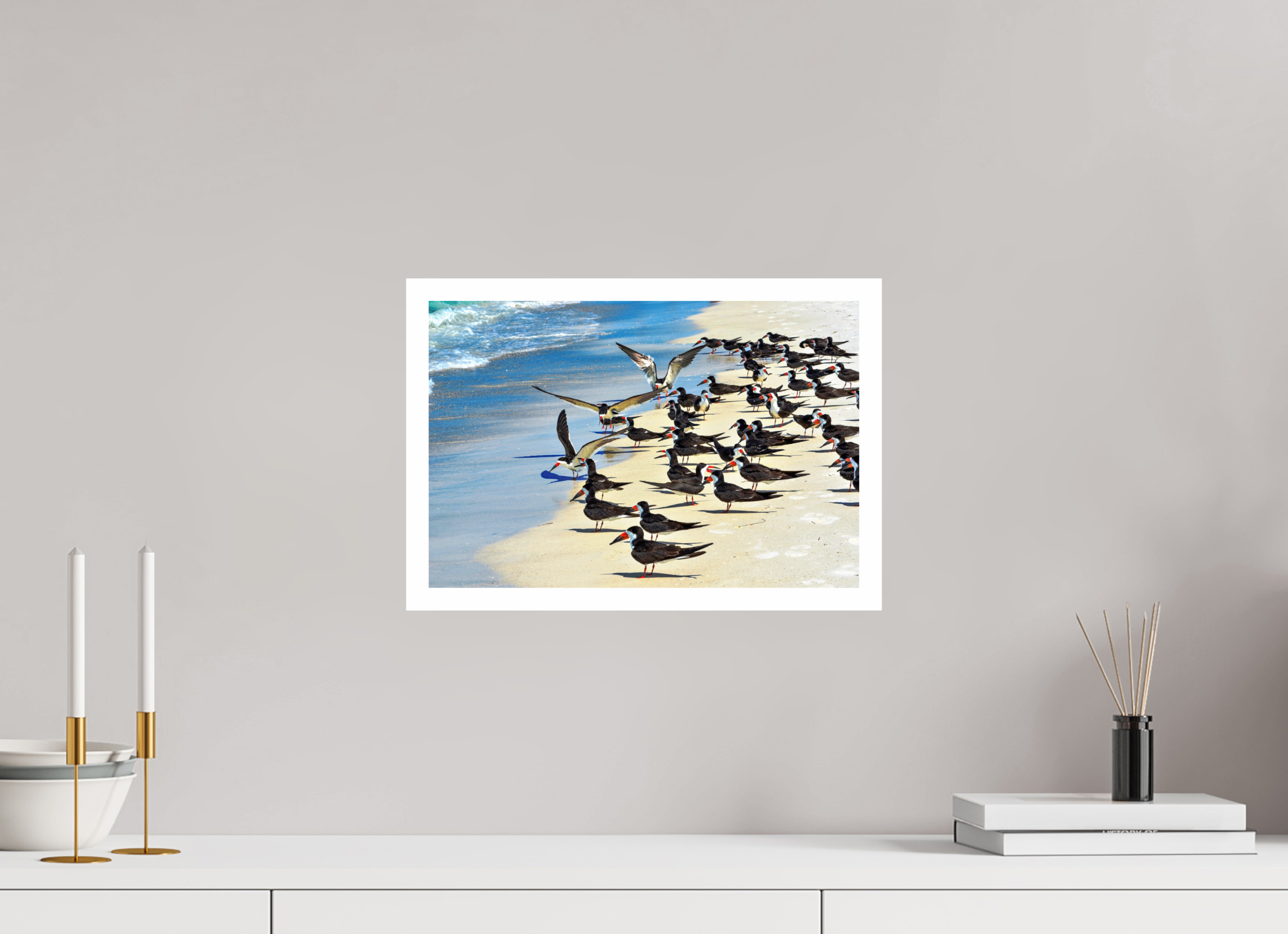 15 x 10″, Hahnemühle FineArt Pearl Print, .79" white border Shoreline Social: Black Skimmer Colony