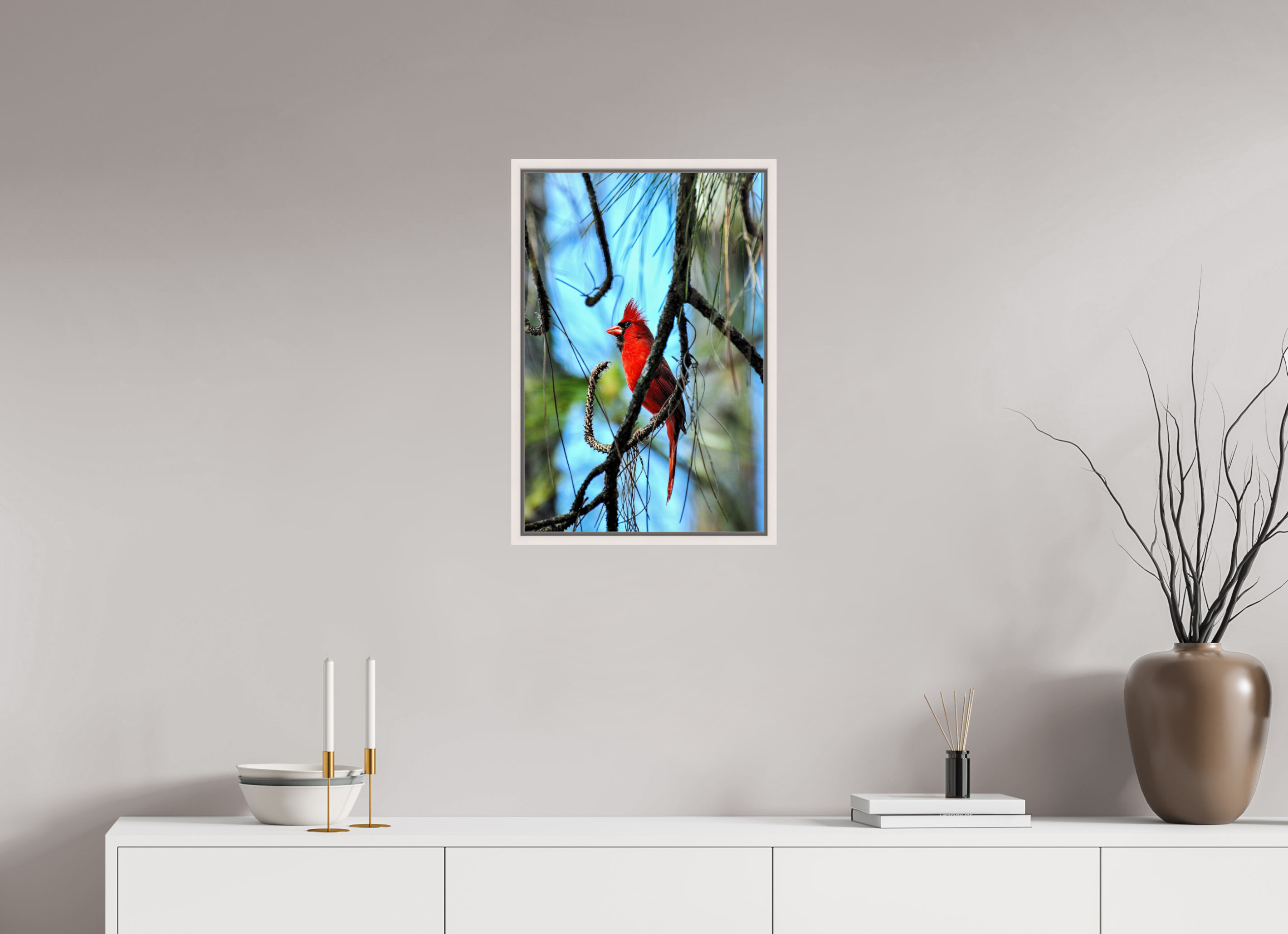 16 x 24″, Floater Frame, Basel 0.6", Maple White, Glossy Acrylic Glass The Corkscrew Cardinal