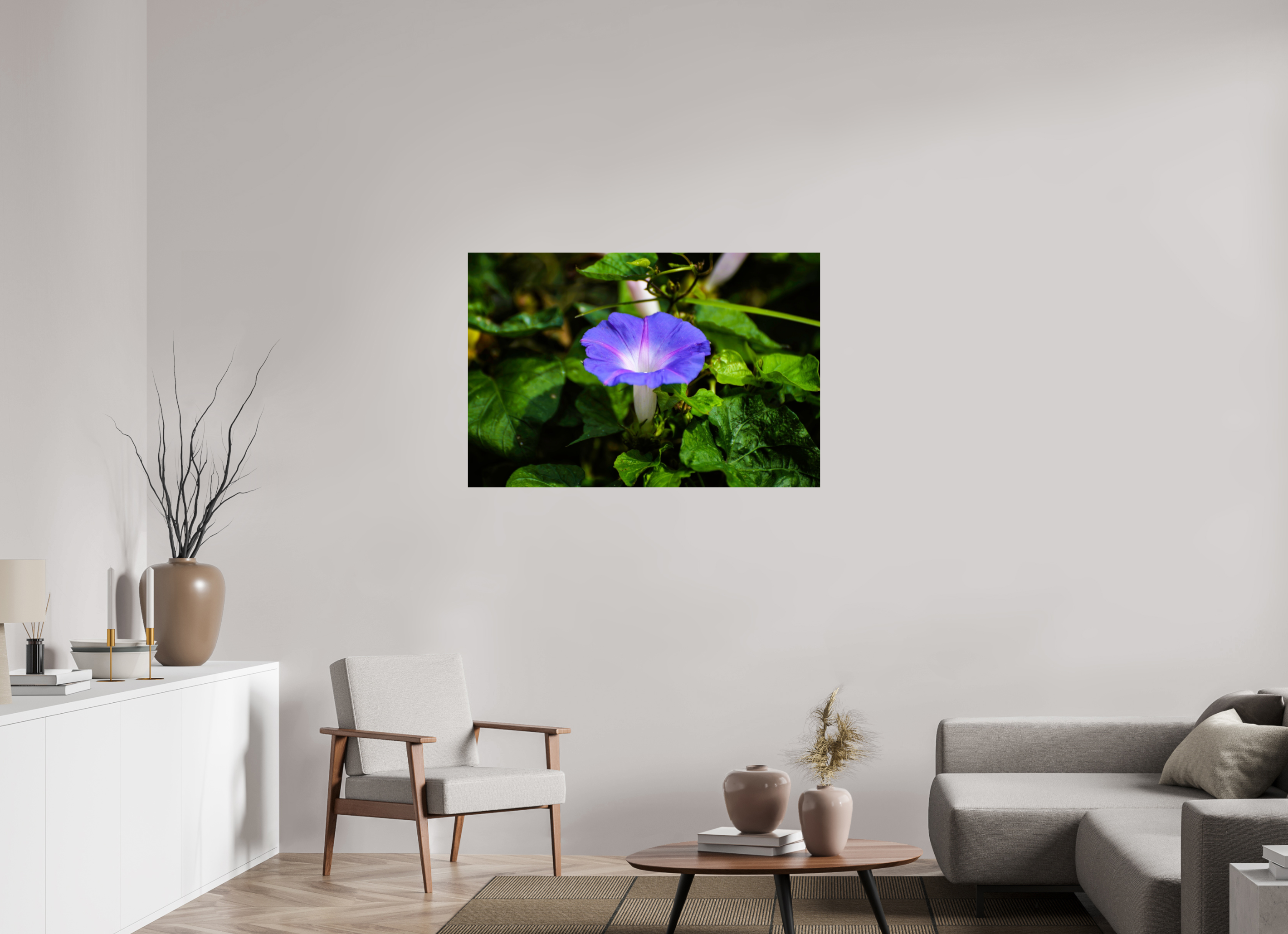 45 x 30″, Photo Print On Fuji Crystal DP II Heavenly Blue Morning Glory