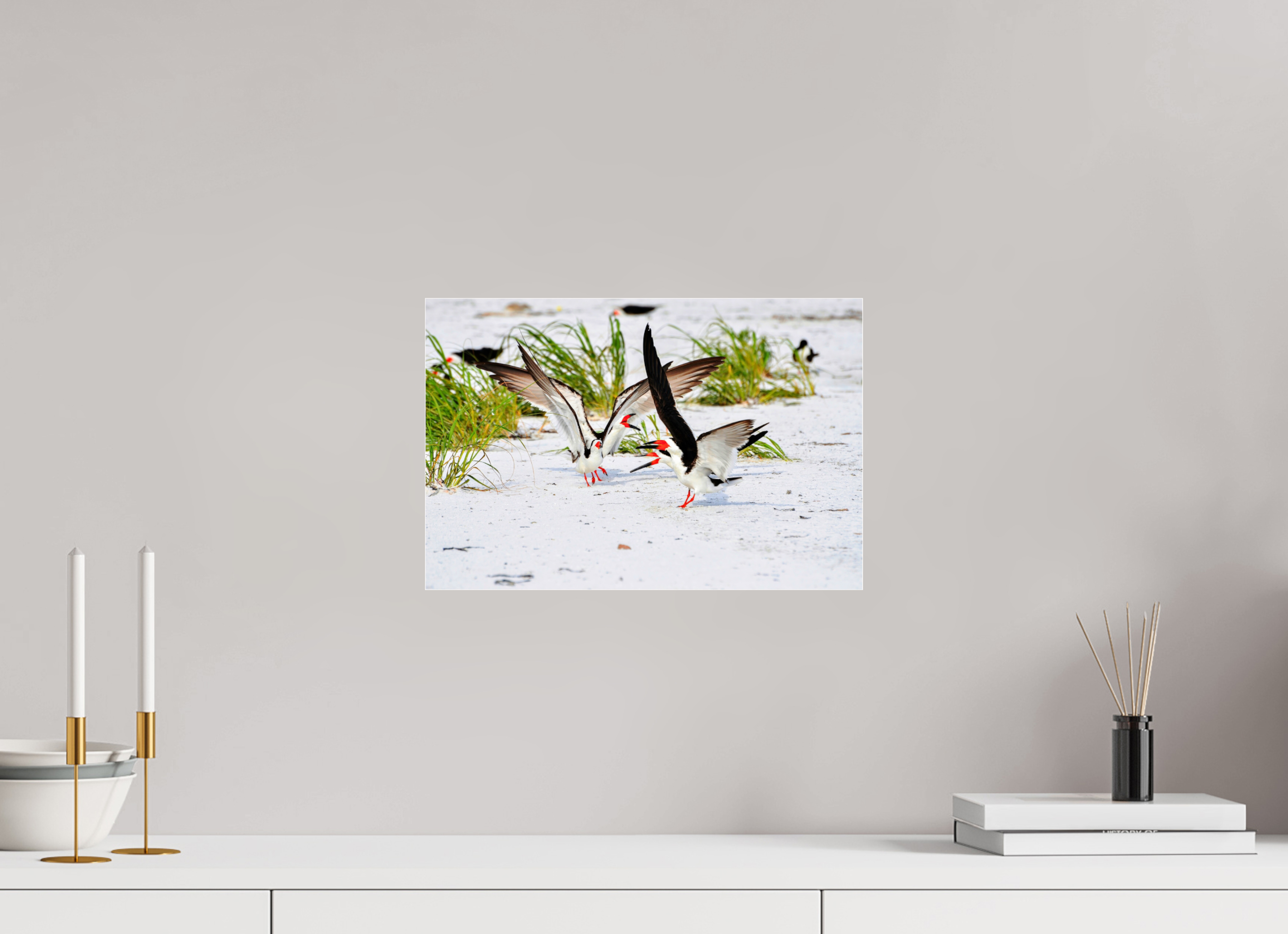 15 x 10″, Metallic Photo Print Under Acrylic Glass The Skimmer Dance
