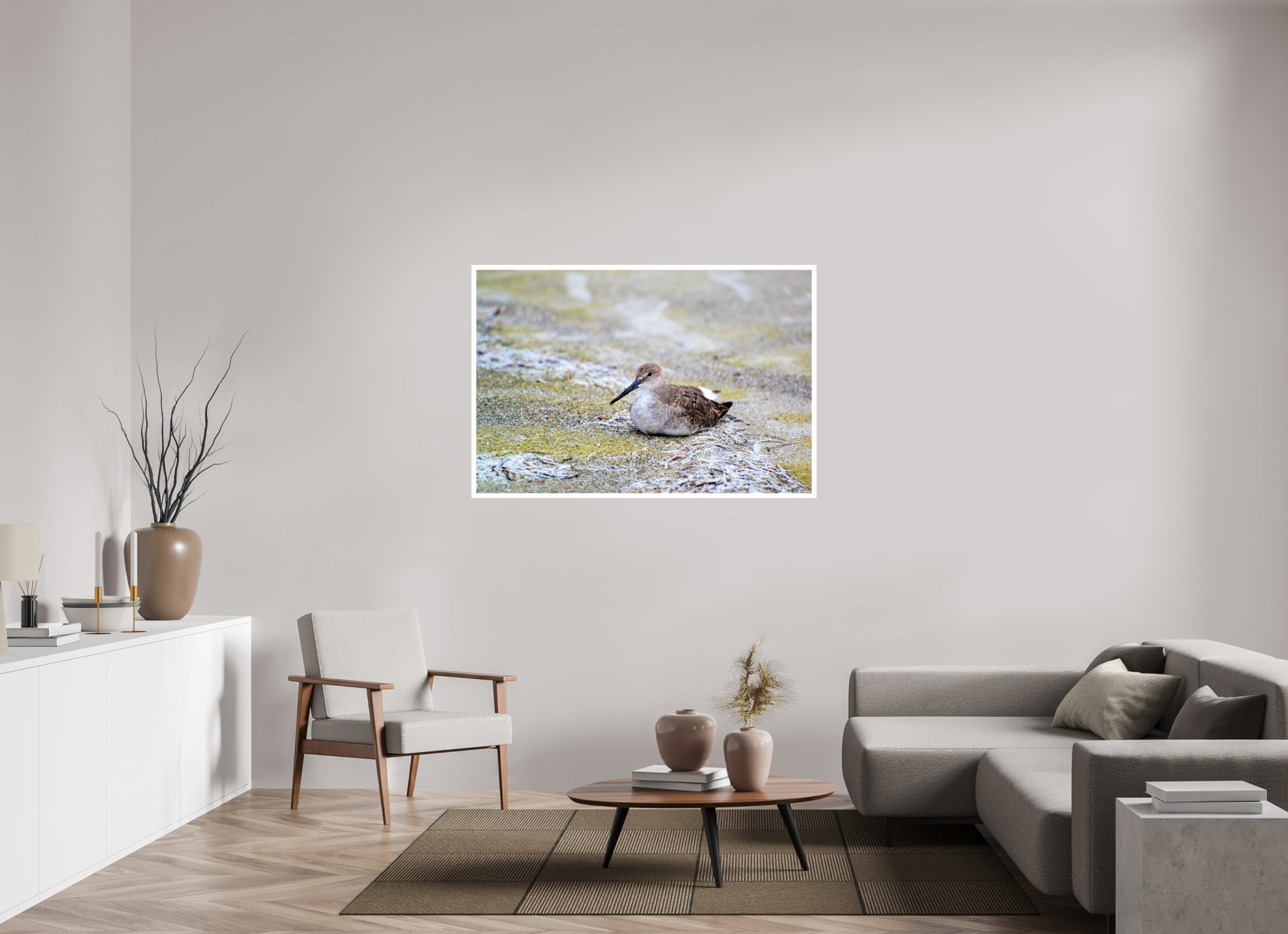 54 x 36″, Hahnemühle FineArt Pearl Print, .79" white border The Resting Willet