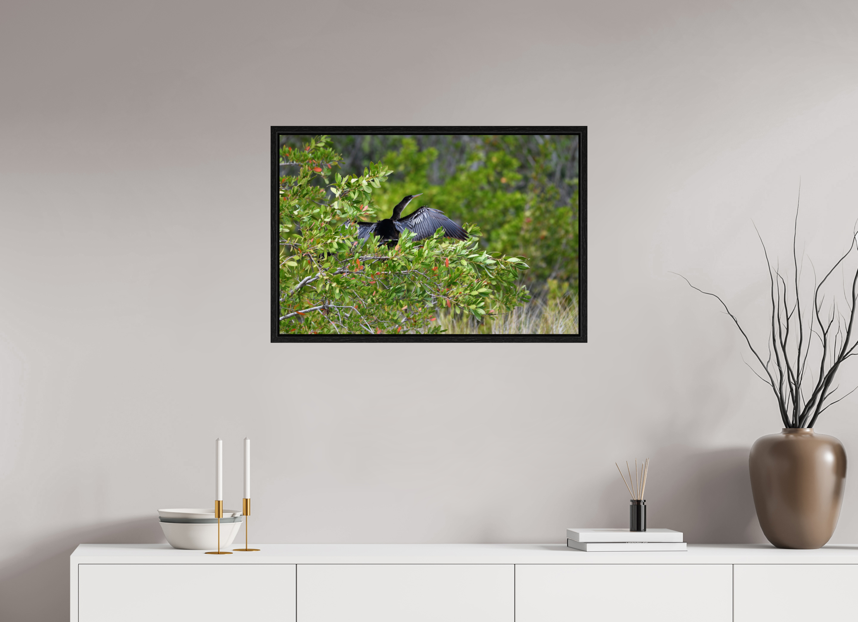 30 x 20″, Floater Frame Florida Anhinga Sunning