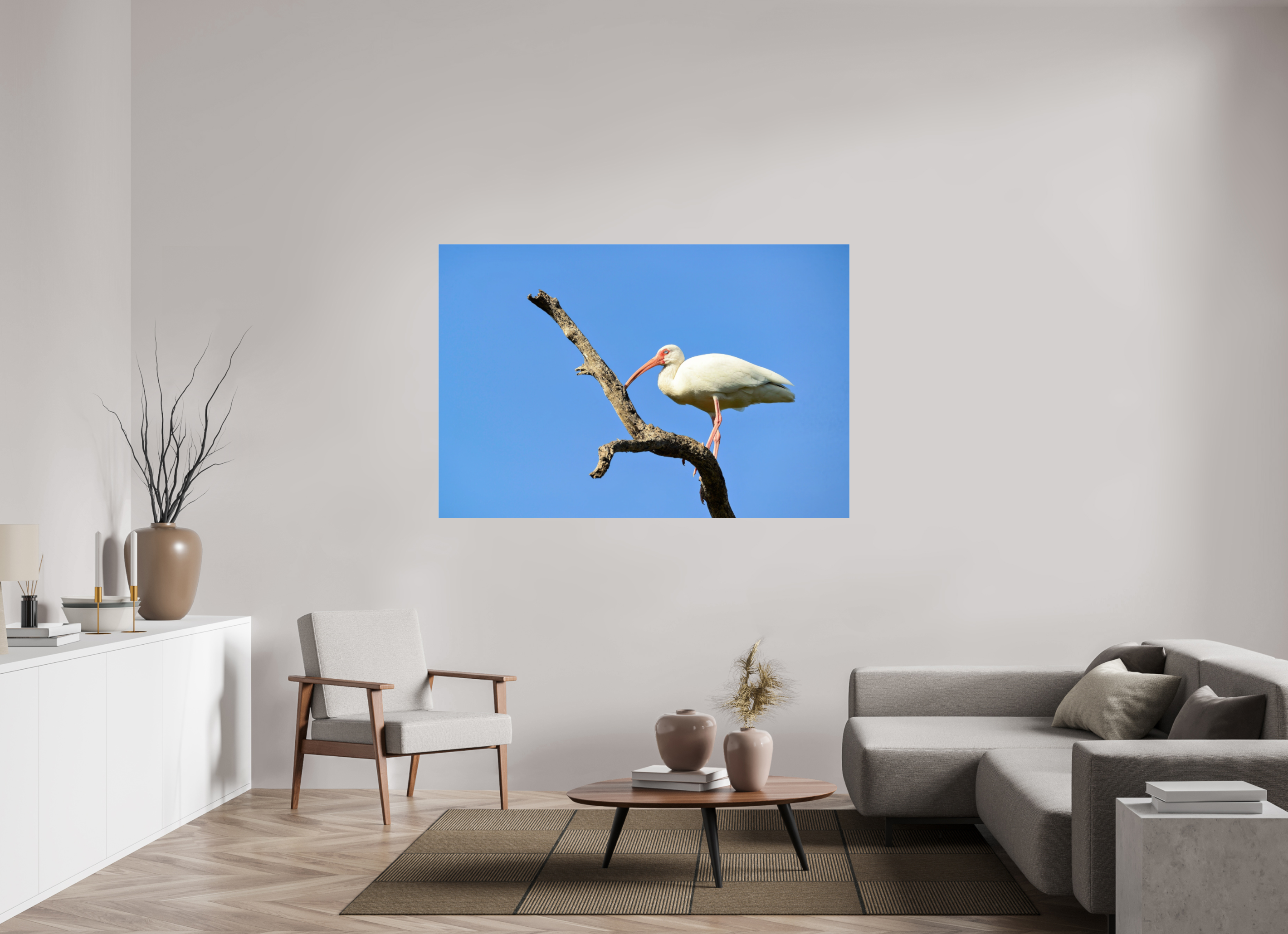 66 x 44″, Metallic Photo Print Under Acrylic Glass Azure Solitude: The American White Ibis