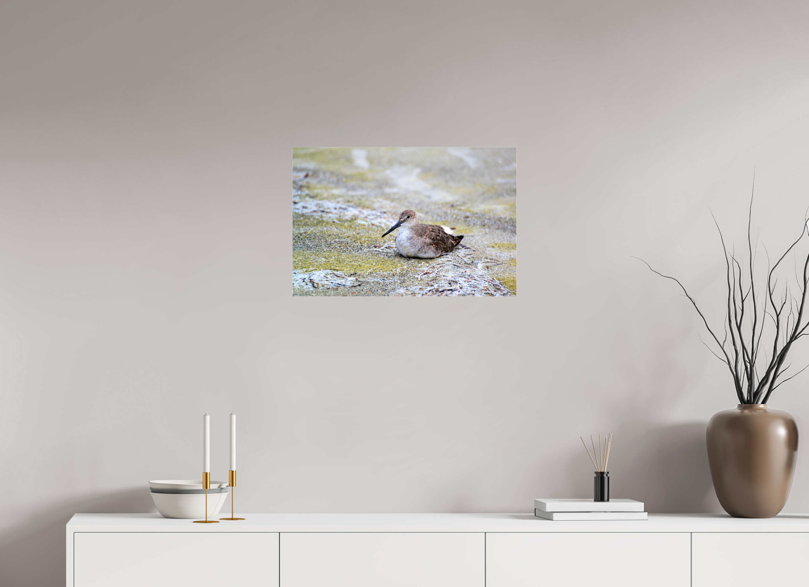 24 x 16″, Metallic Photo Print Under Acrylic Glass The Resting Willet