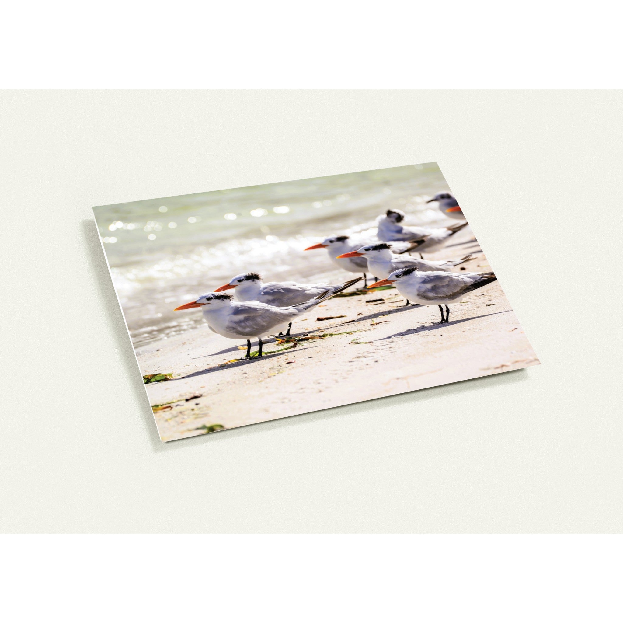 2ea50b73-1f97-4fc5-89c9-52d889a5072a