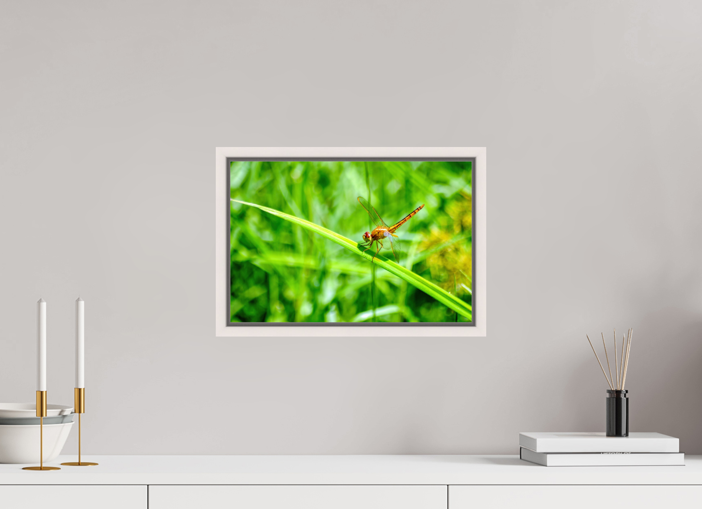 15 x 10″, Floater Frame, Basel 0.6", Maple White, Glossy Acrylic Glass Female Scarlet Skimmer