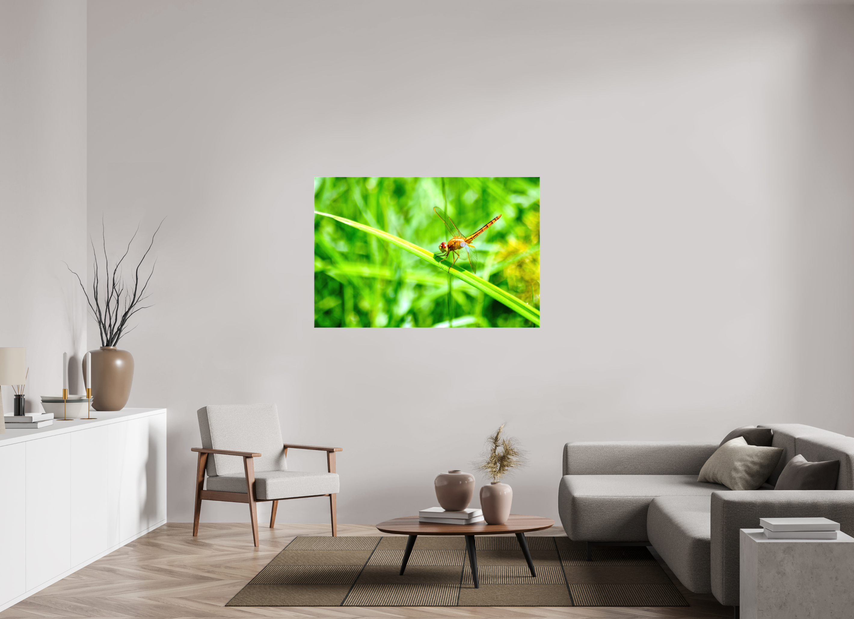54 x 36″, Glossy Canvas on Stretcher Frame, 1,57" Wrapped Female Scarlet Skimmer