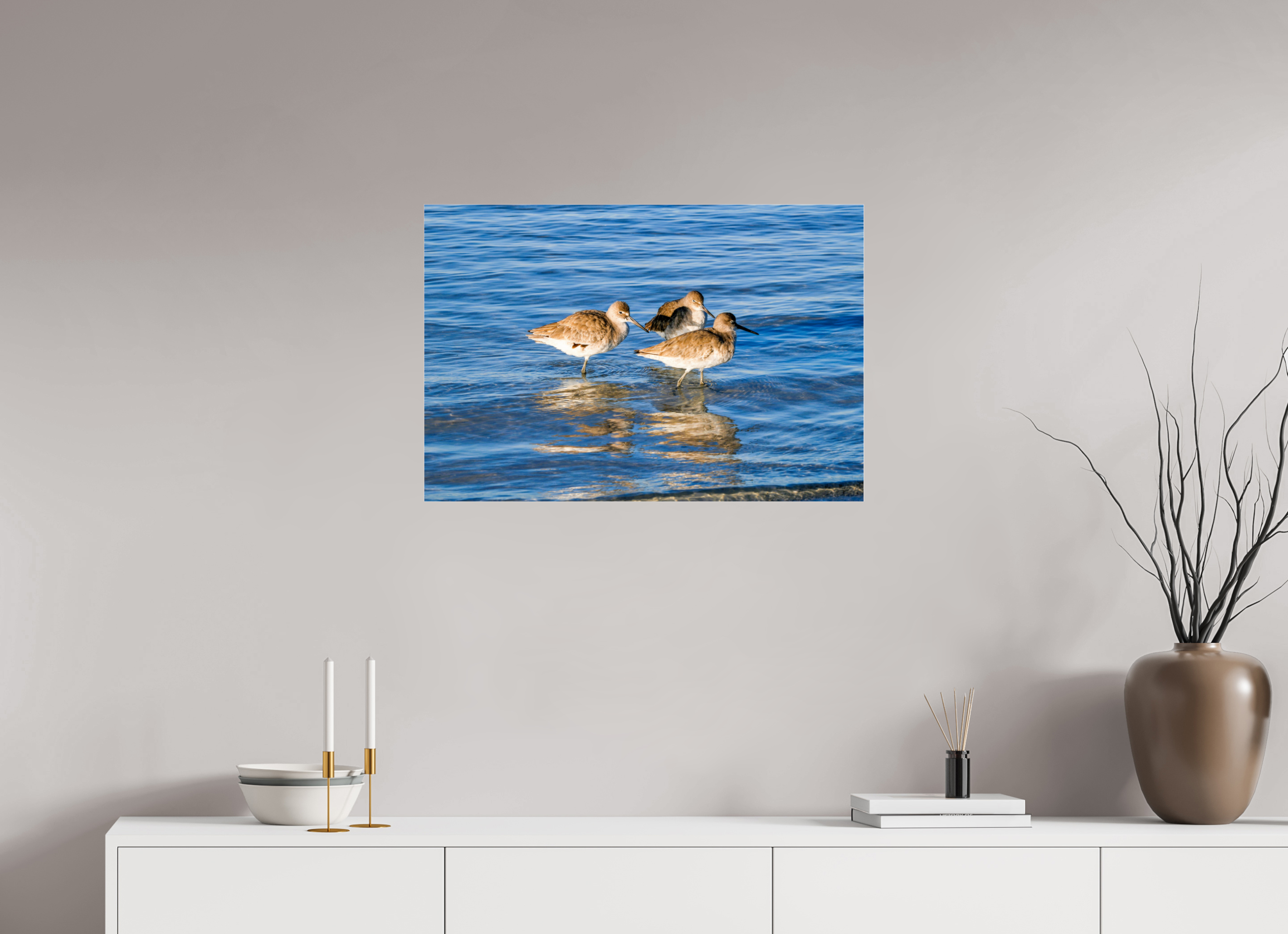 29.6 x 20″, Photo Print Fuji Crystal Archive Under Acrylic Glass The Shoreline Trio: Willets in the Surf