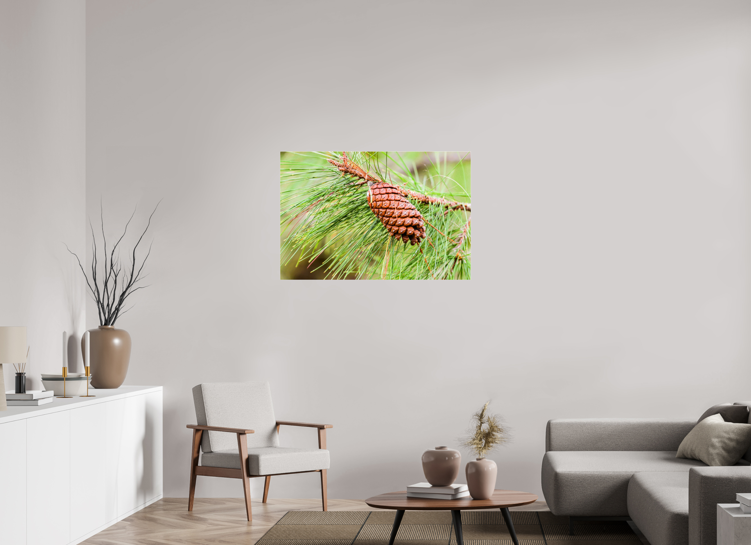 41.6 x 28″, Metallic Photo Print Under Acrylic Glass The Longleaf Pine Cone