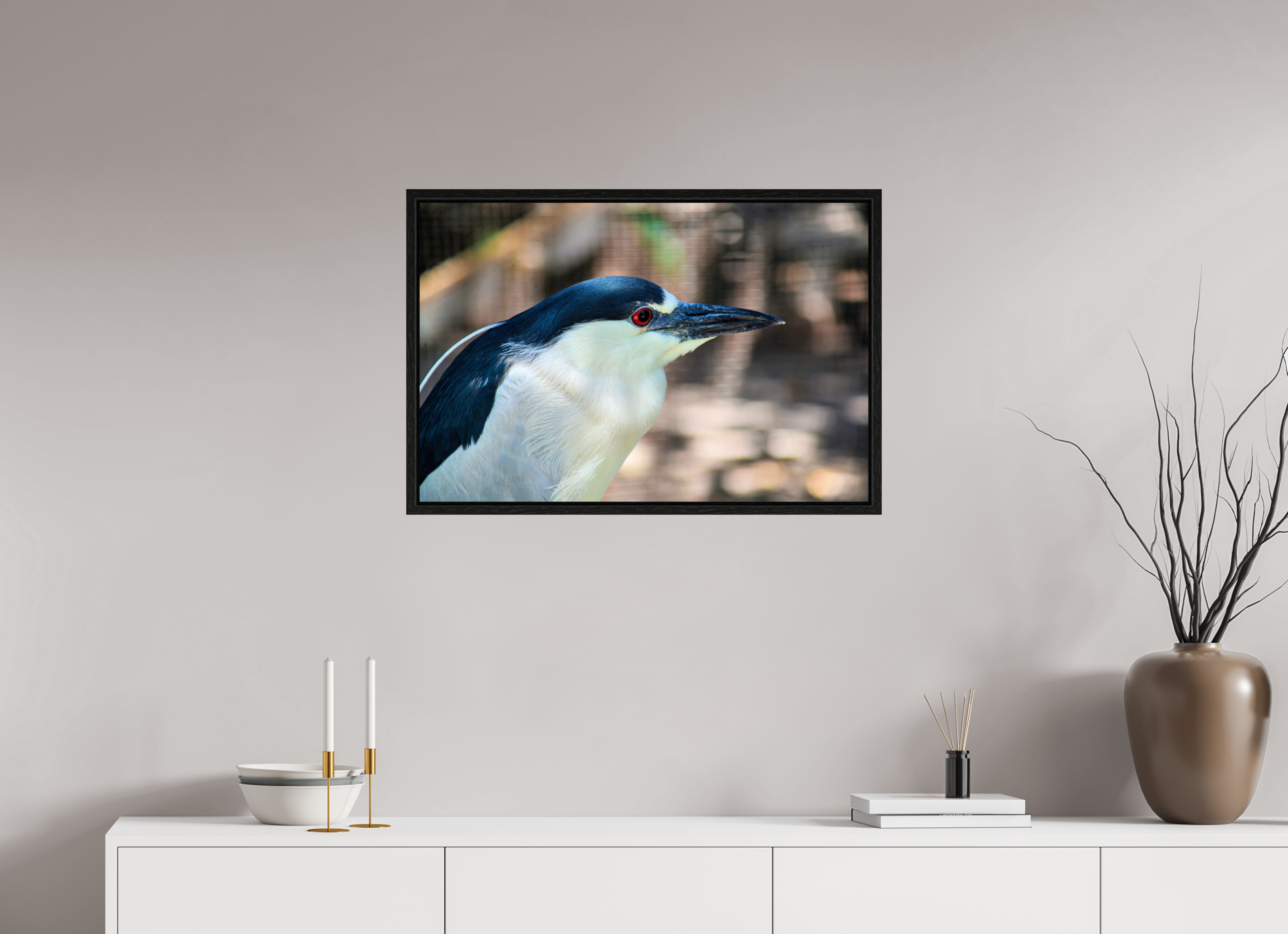 30 x 20″, Floater Frame, Basel 0.6", Black Oak, Glossy Acrylic Glass Black-crowned Night Heron