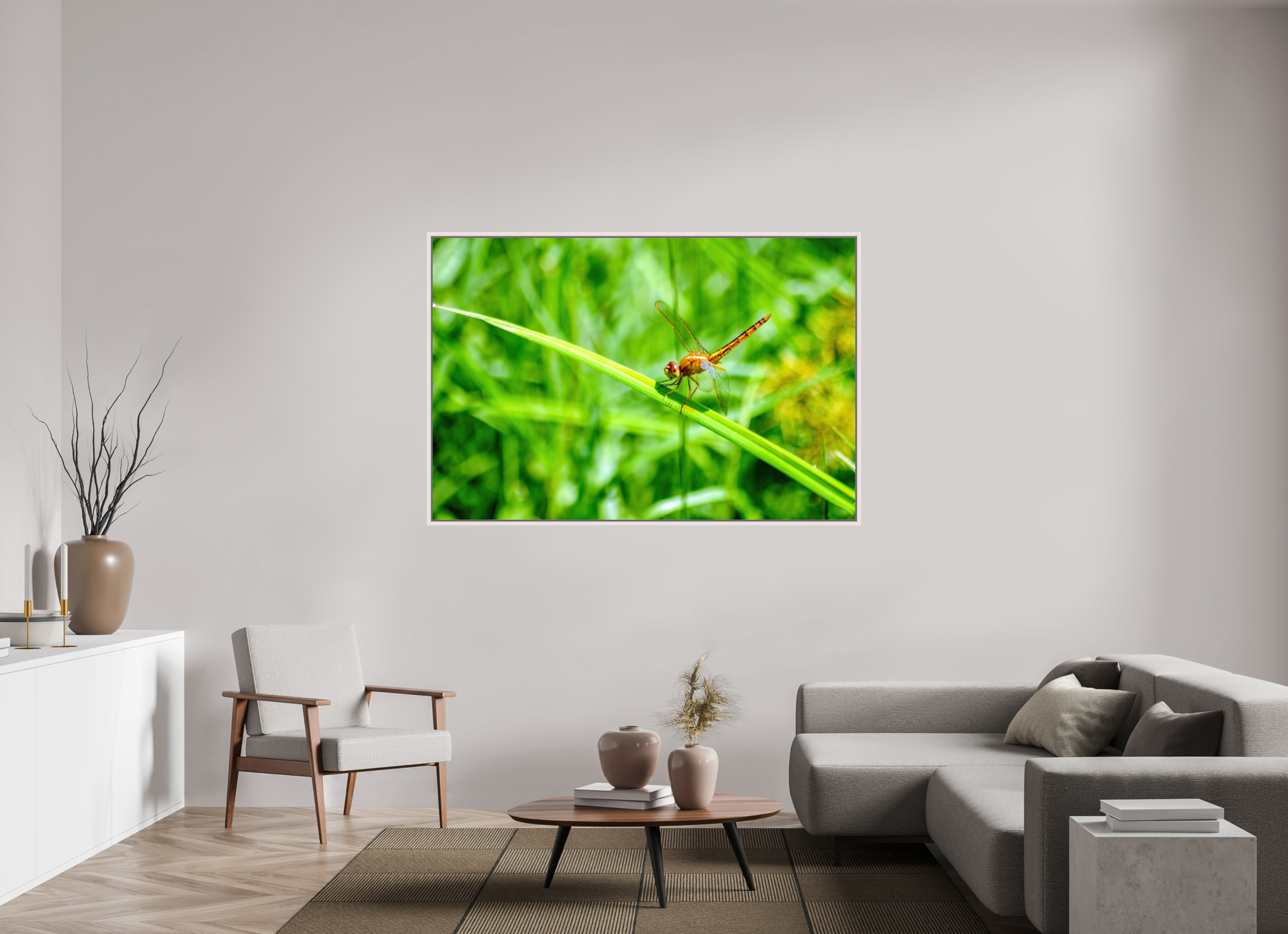 66 x 44″, Floater Frame, Basel 0.6", Maple White, Glossy Acrylic Glass Female Scarlet Skimmer
