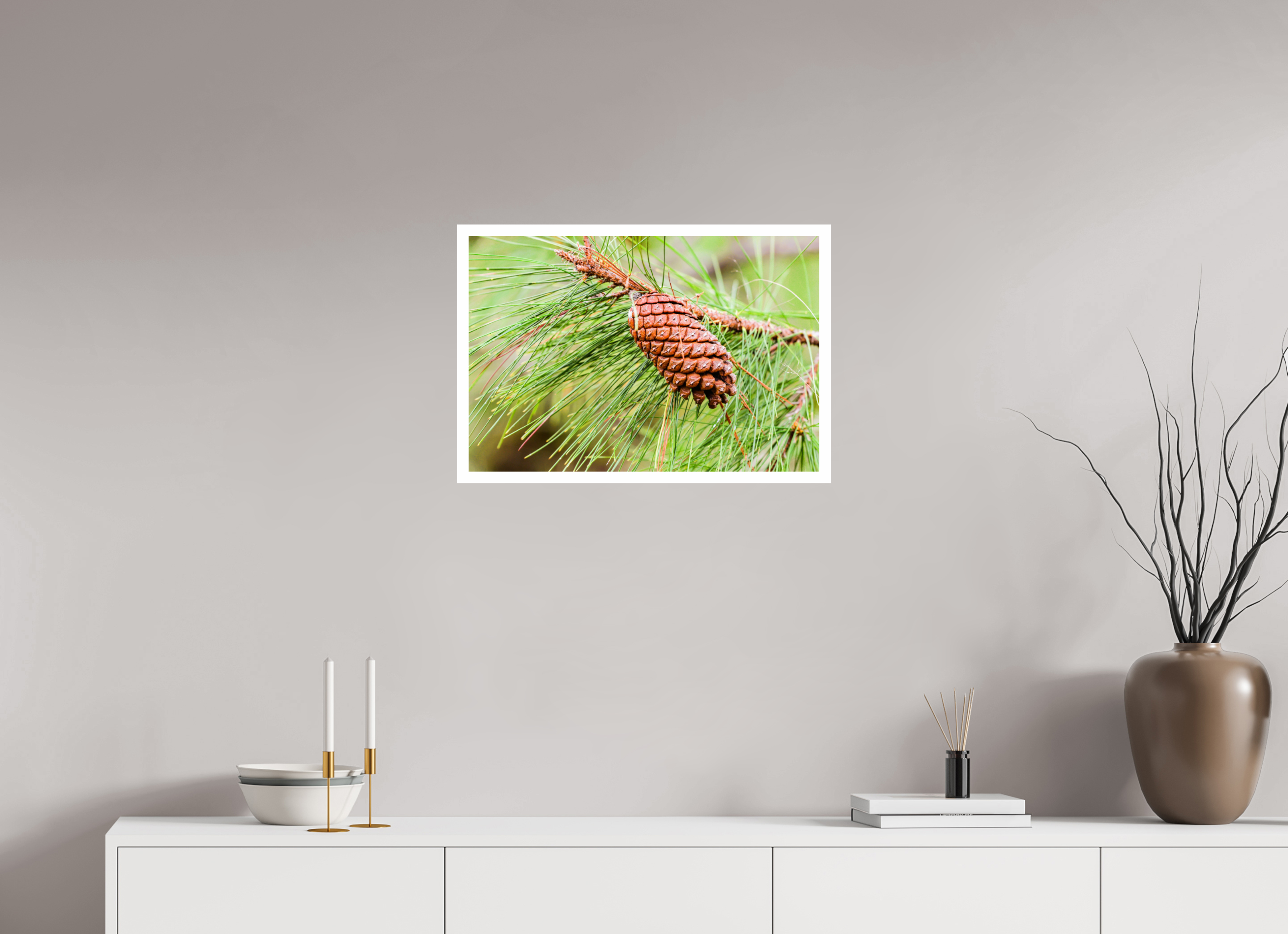 23.8 x 16″, Hahnemühle FineArt Pearl Print, .79" white border The Longleaf Pine Cone