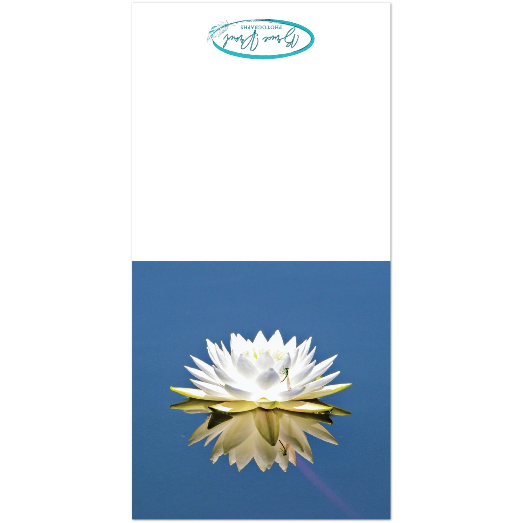 3155d30c-18bb-448b-96bc-18dc15973b14