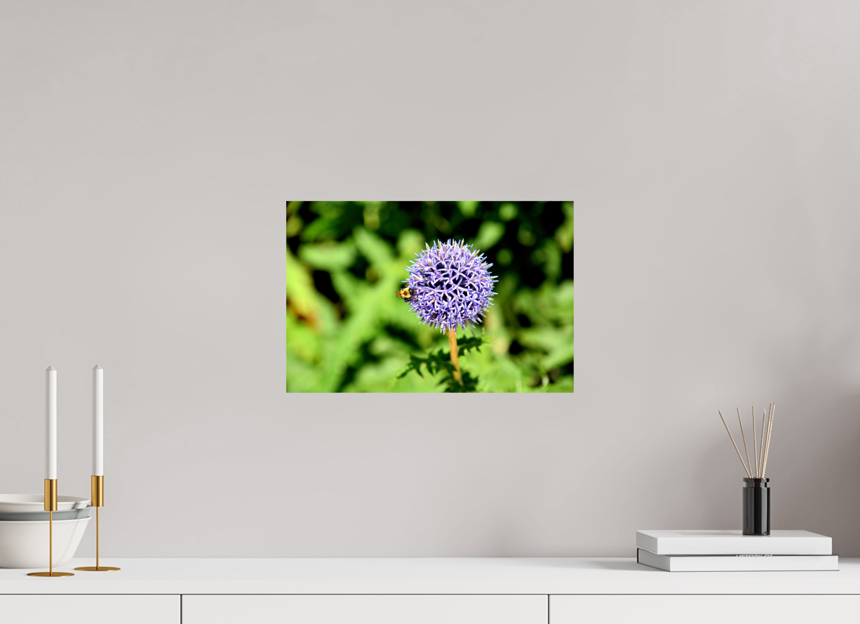 15 x 10″, Photo Print On Fuji Crystal DP II The Bee & The Globe Thistle (Echinops)