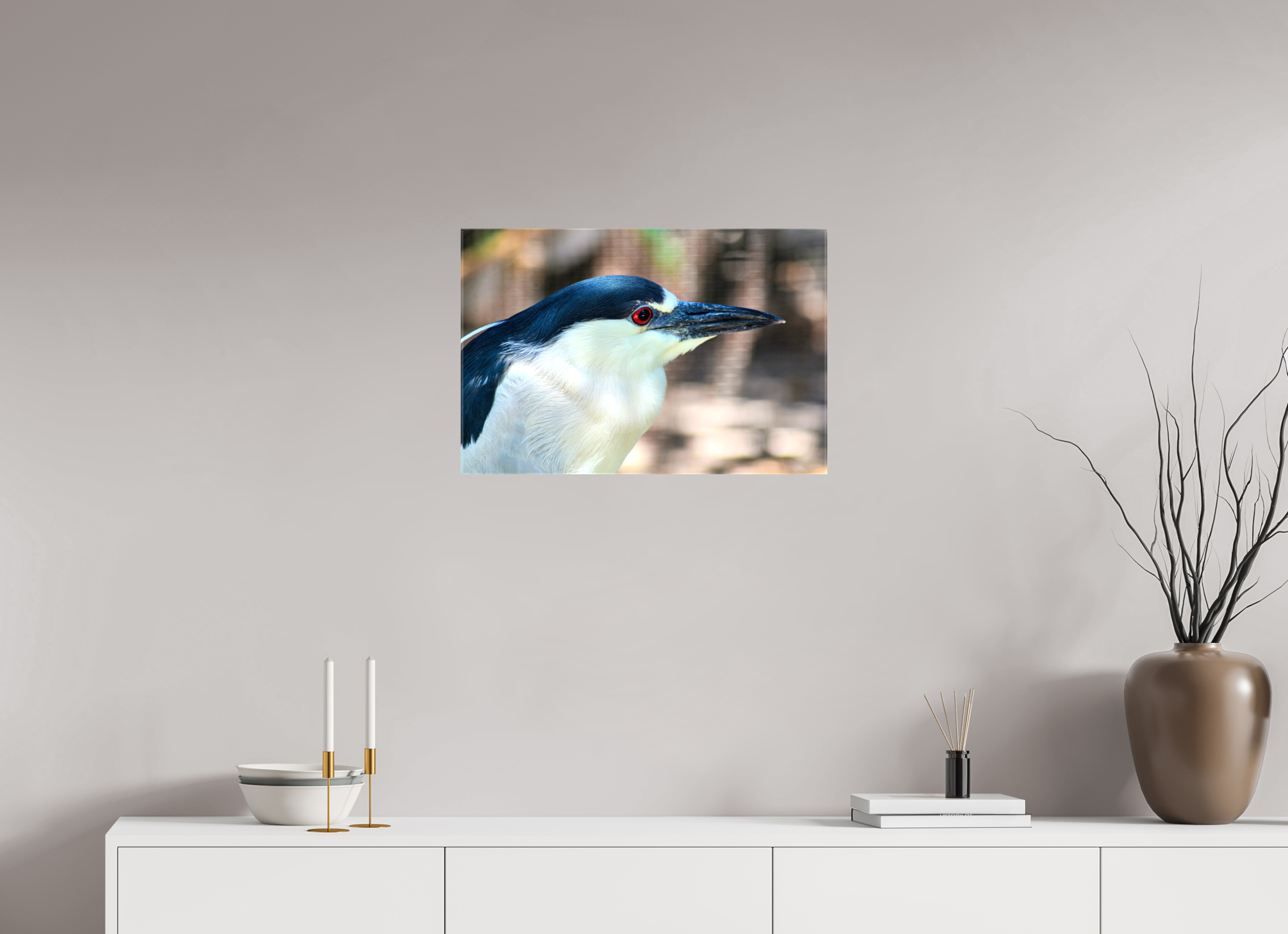 24 x 16″, Glossy Canvas on Stretcher Frame, 1,57" Wrapped Black-crowned Night Heron