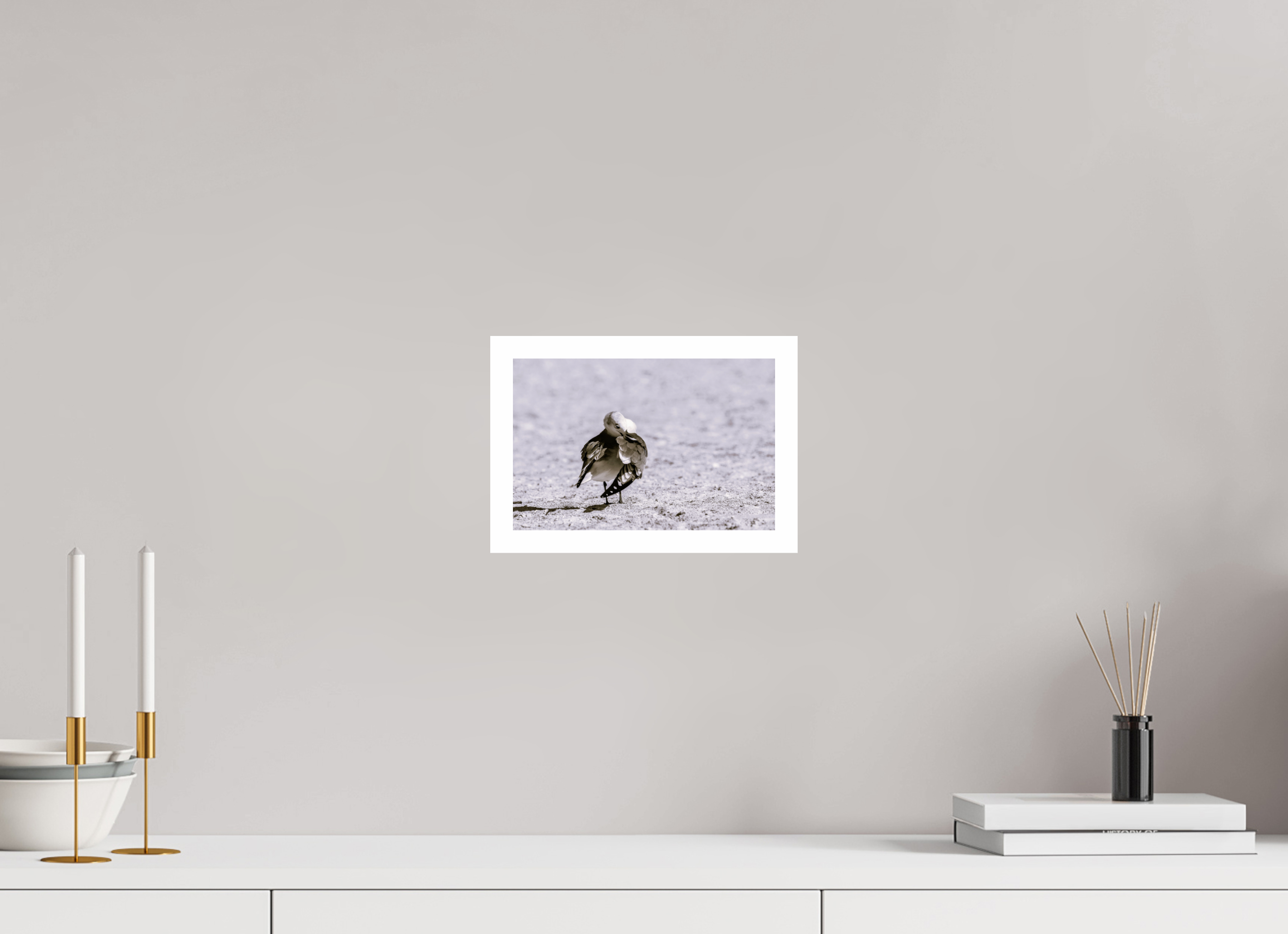 9.1 x 6″, Hahnemühle FineArt Pearl Print, .79" white border Preening Gull