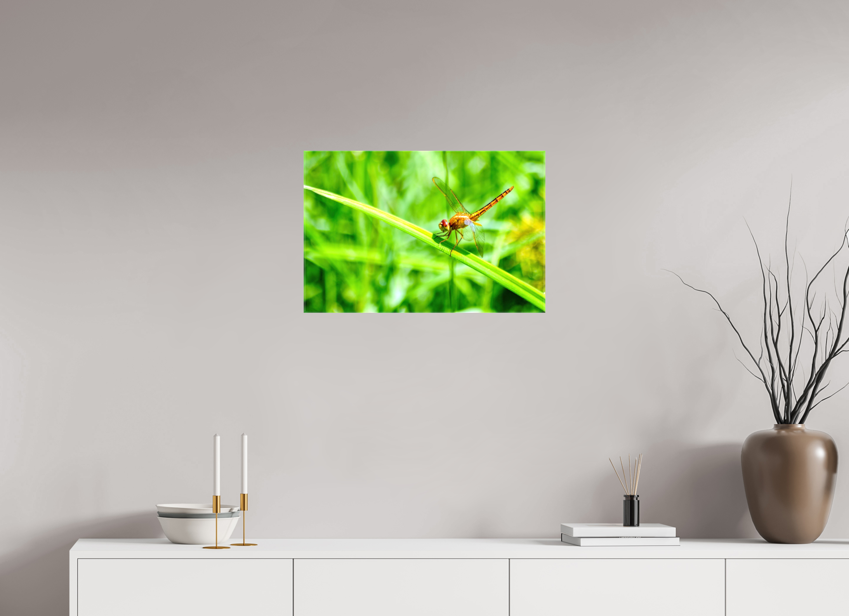 24 x 16″, Glossy Canvas on Stretcher Frame, 1,57" Wrapped Female Scarlet Skimmer