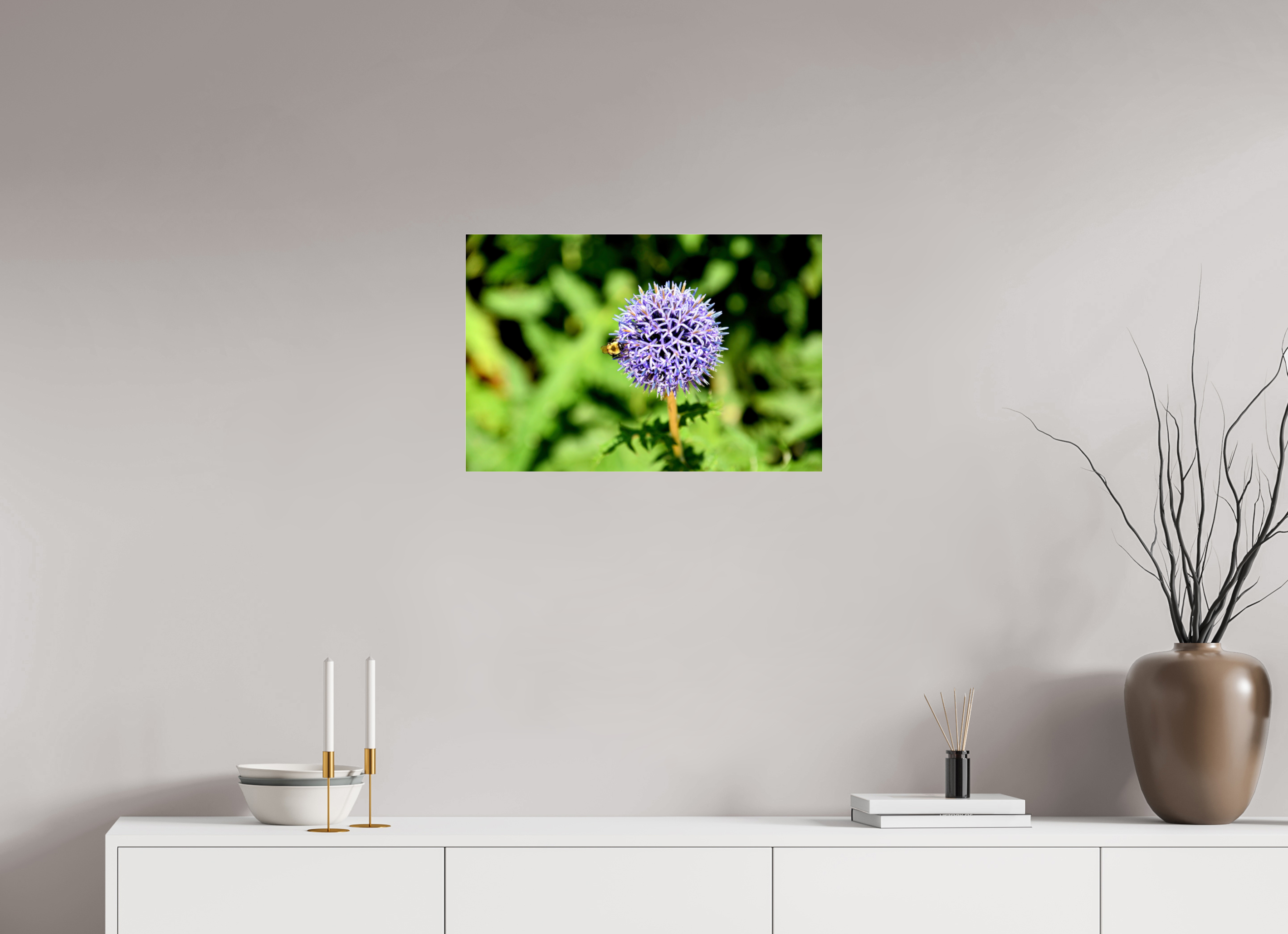 24 x 16″, Photo Print Fuji Crystal Archive Under Acrylic Glass The Bee & The Globe Thistle (Echinops)