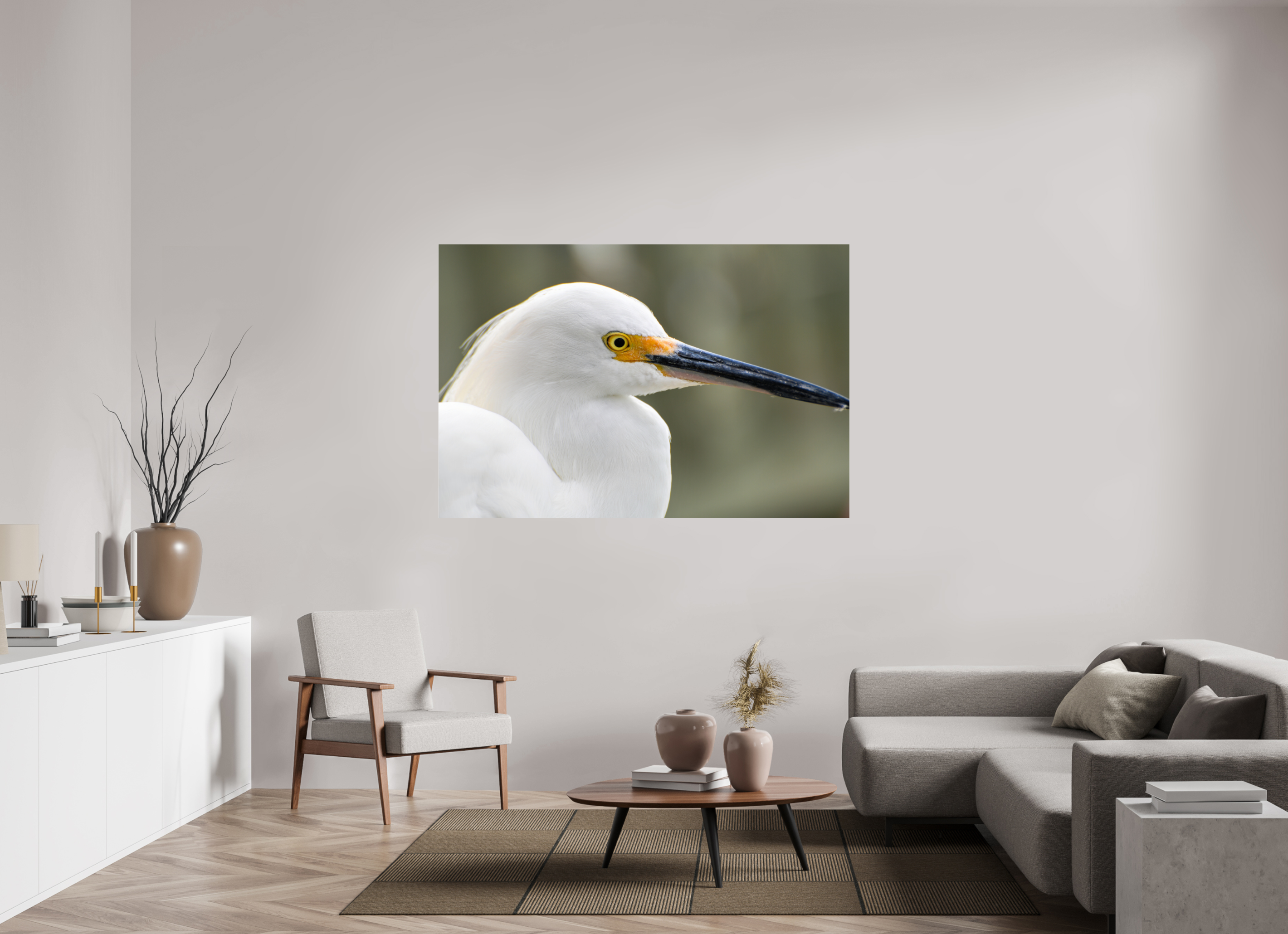 66 x 44″, Photo Print Fuji Crystal Archive Under Acrylic Glass The White Plume: Snowy Egret Portrait