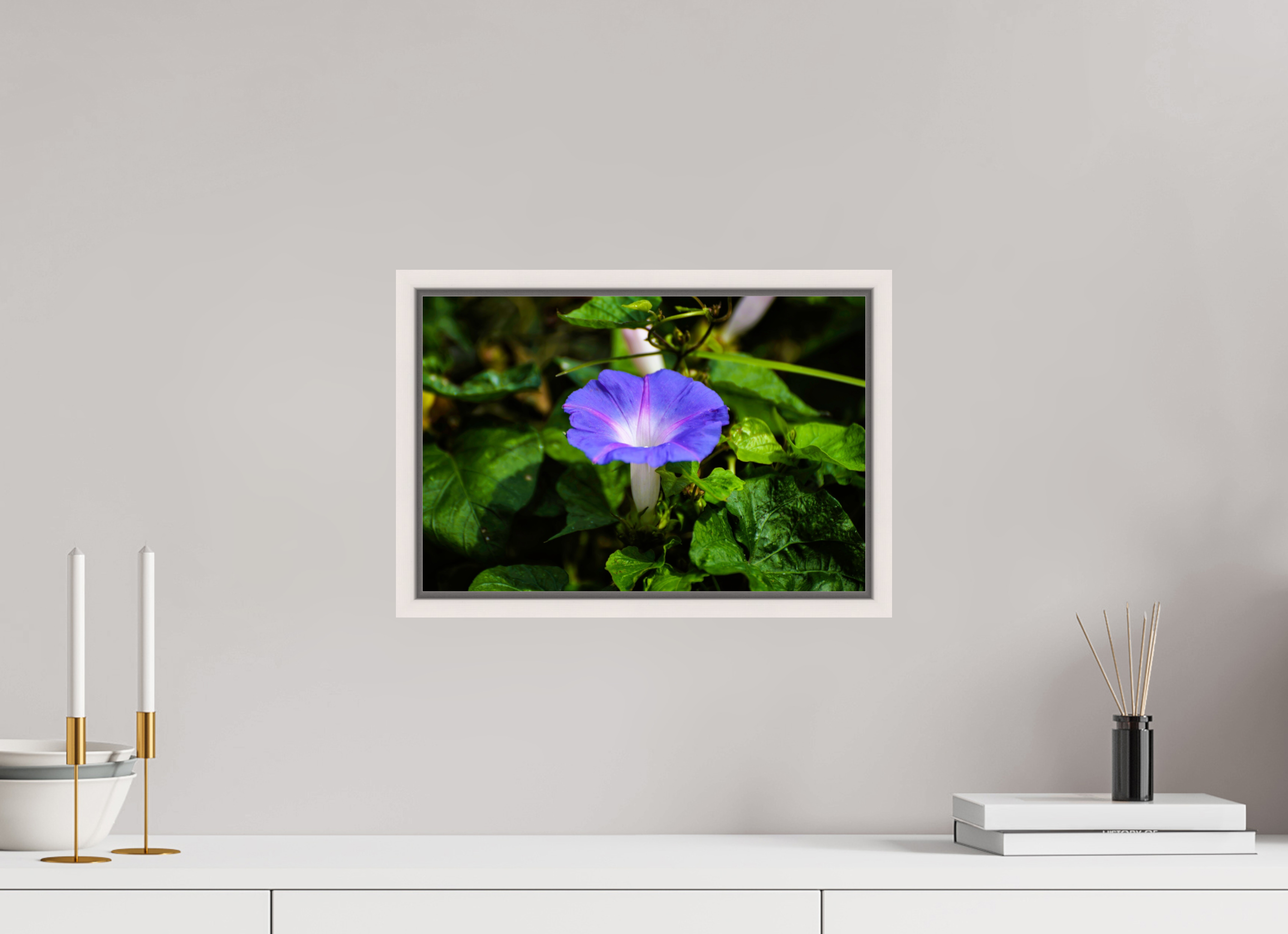 15 x 10″, Floater Frame, Basel 0.6", Maple White, Glossy Acrylic Glass Heavenly Blue Morning Glory