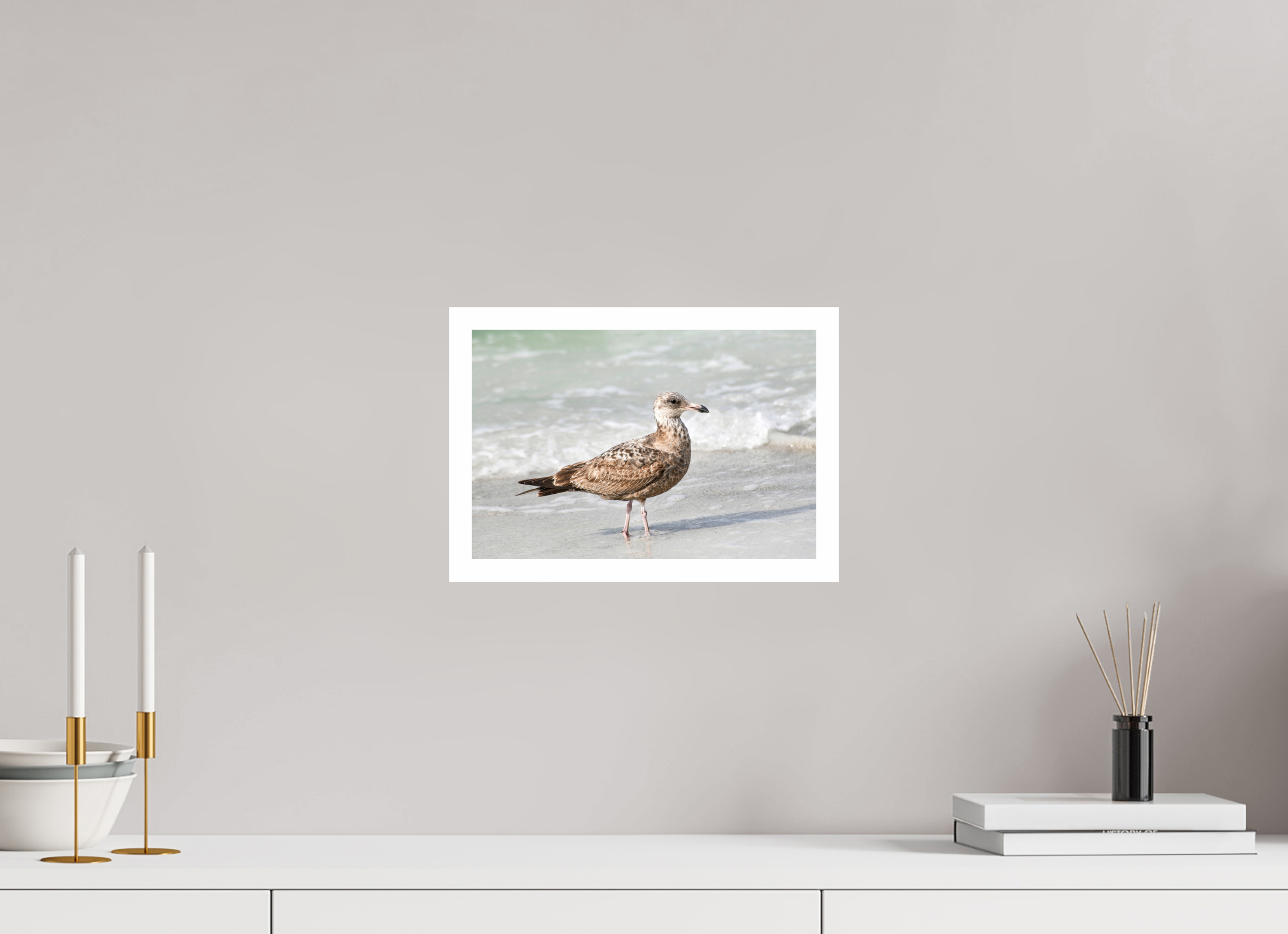 12 x 8″, Hahnemühle FineArt Pearl Print, .79" white border The Young Explorer: Immature American Herring Gull