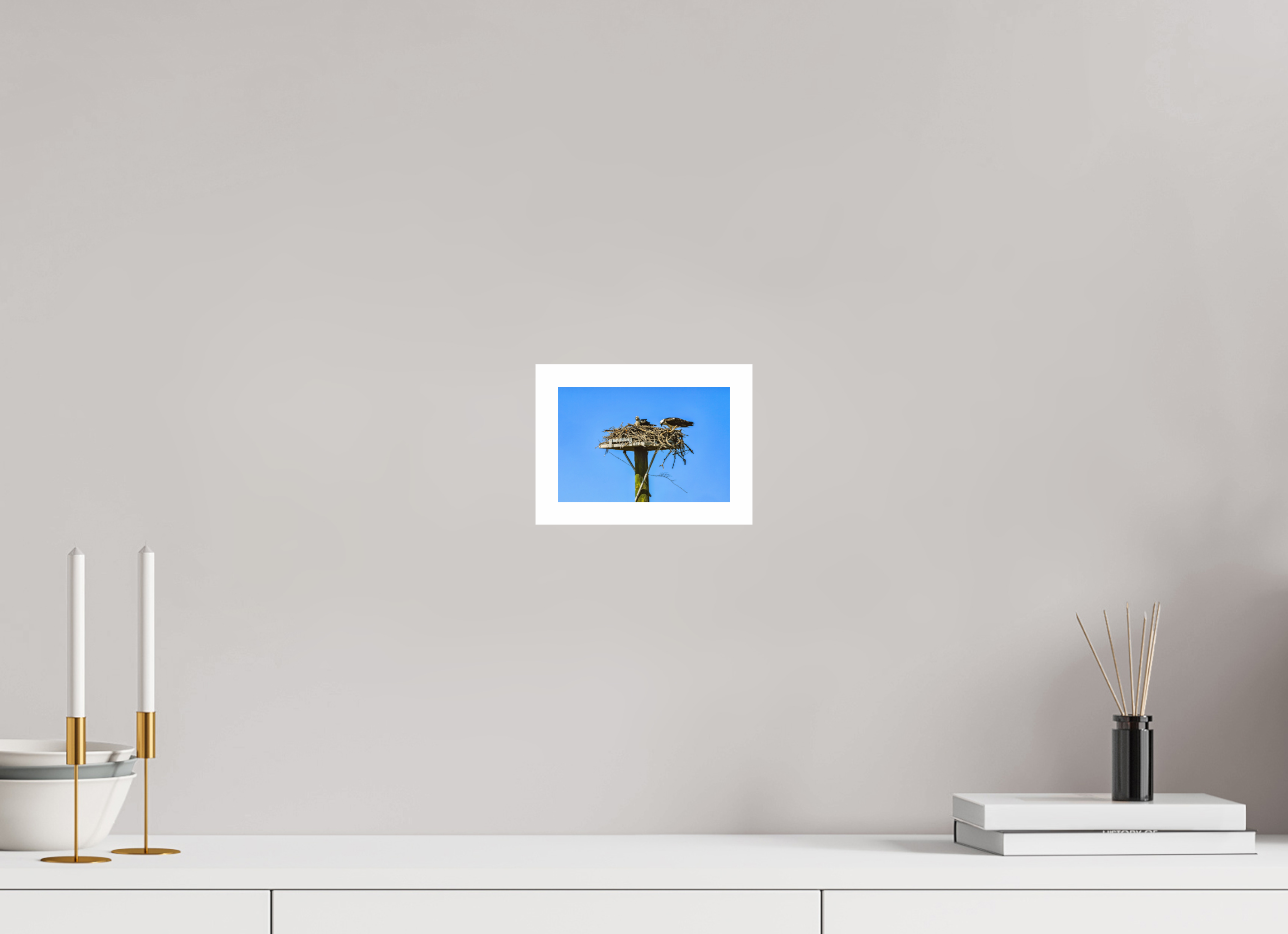 6 x 4″, Hahnemühle FineArt Pearl Print, .79" white border Osprey Outlook