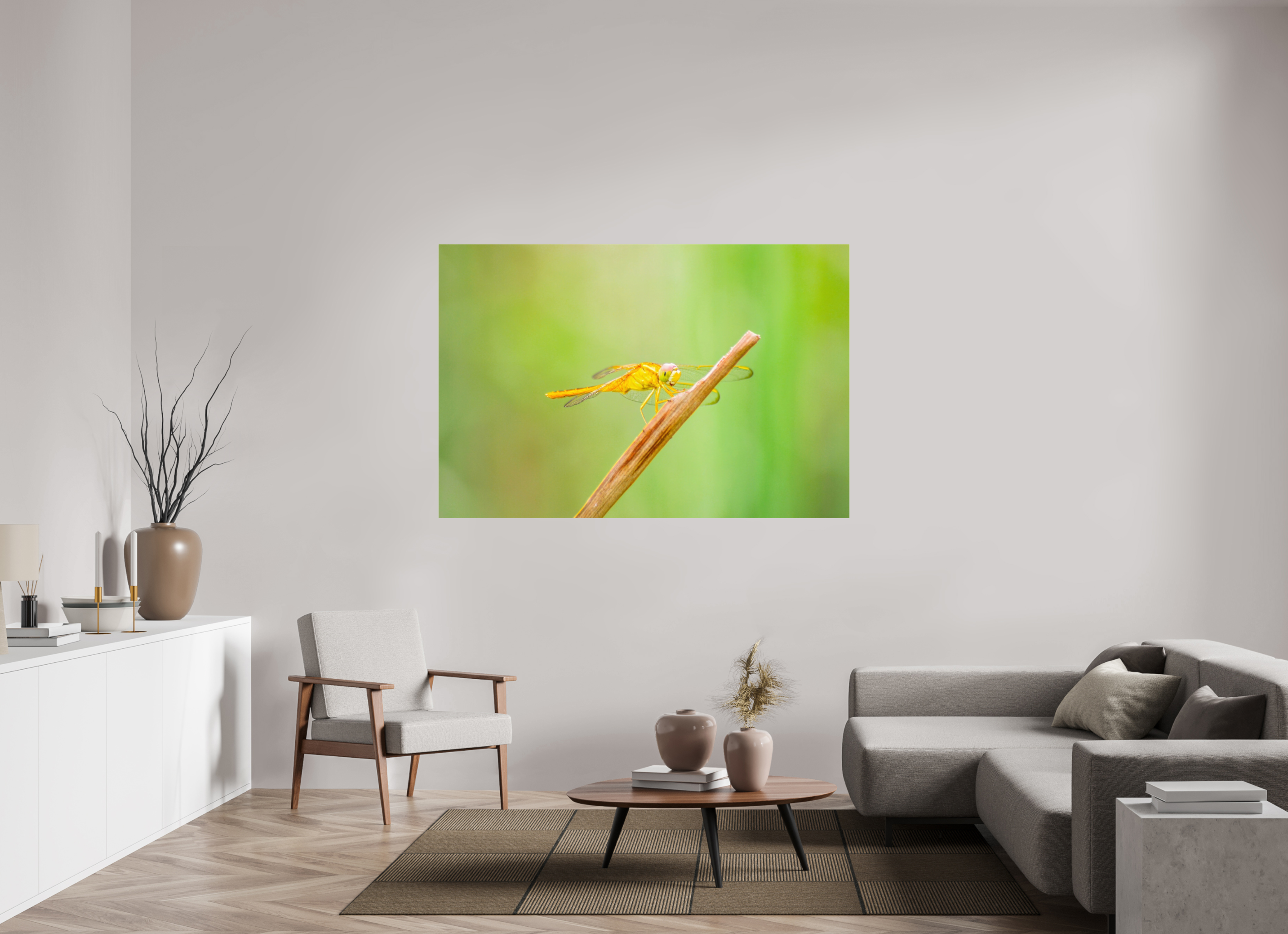 66 x 44″, Metallic Photo Print Under Acrylic Glass Sun-Drenched Golden Scarlet Skimmer