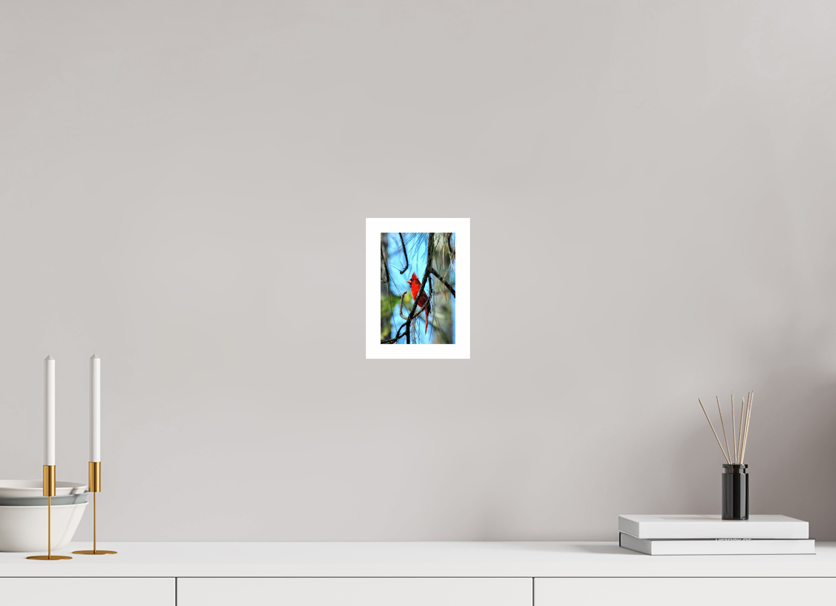 4 x 6″, Hahnemühle FineArt Pearl Print, .79" white border The Corkscrew Cardinal