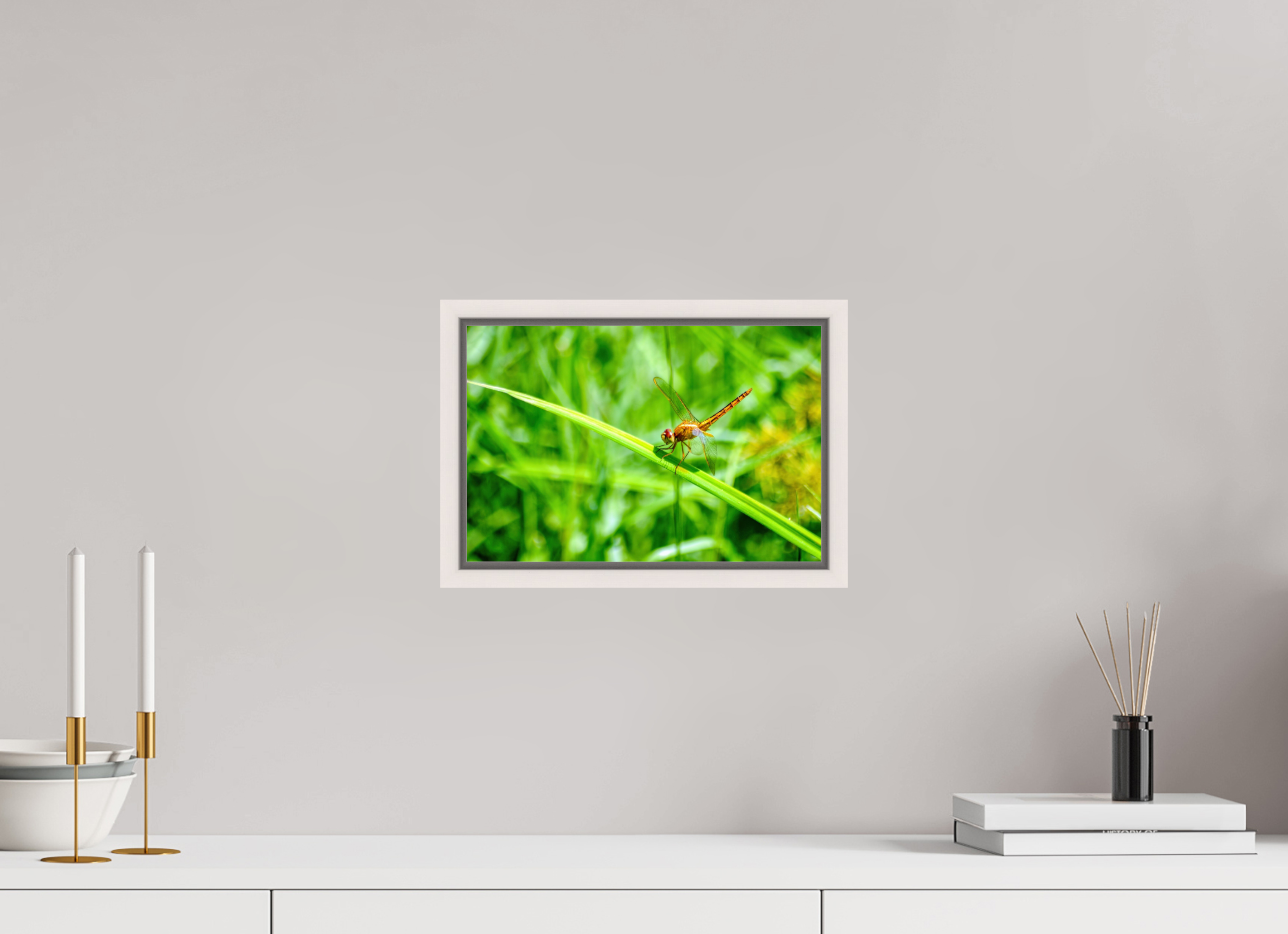 12 x 8″, Floater Frame, Basel 0.6", Maple White, Glossy Acrylic Glass Female Scarlet Skimmer
