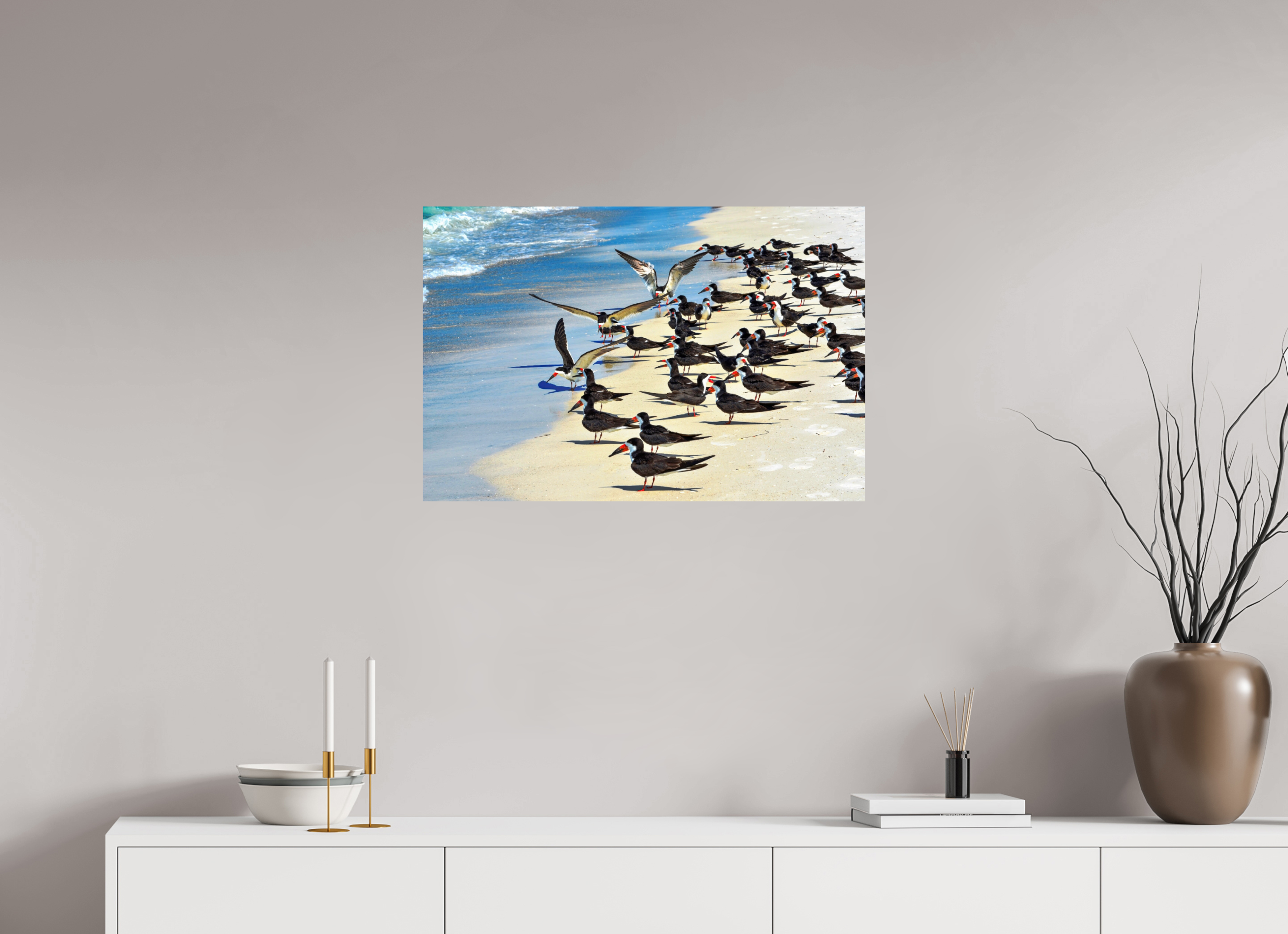 30 x 20″, Photo Print On Fuji Crystal DP II Shoreline Social: Black Skimmer Colony